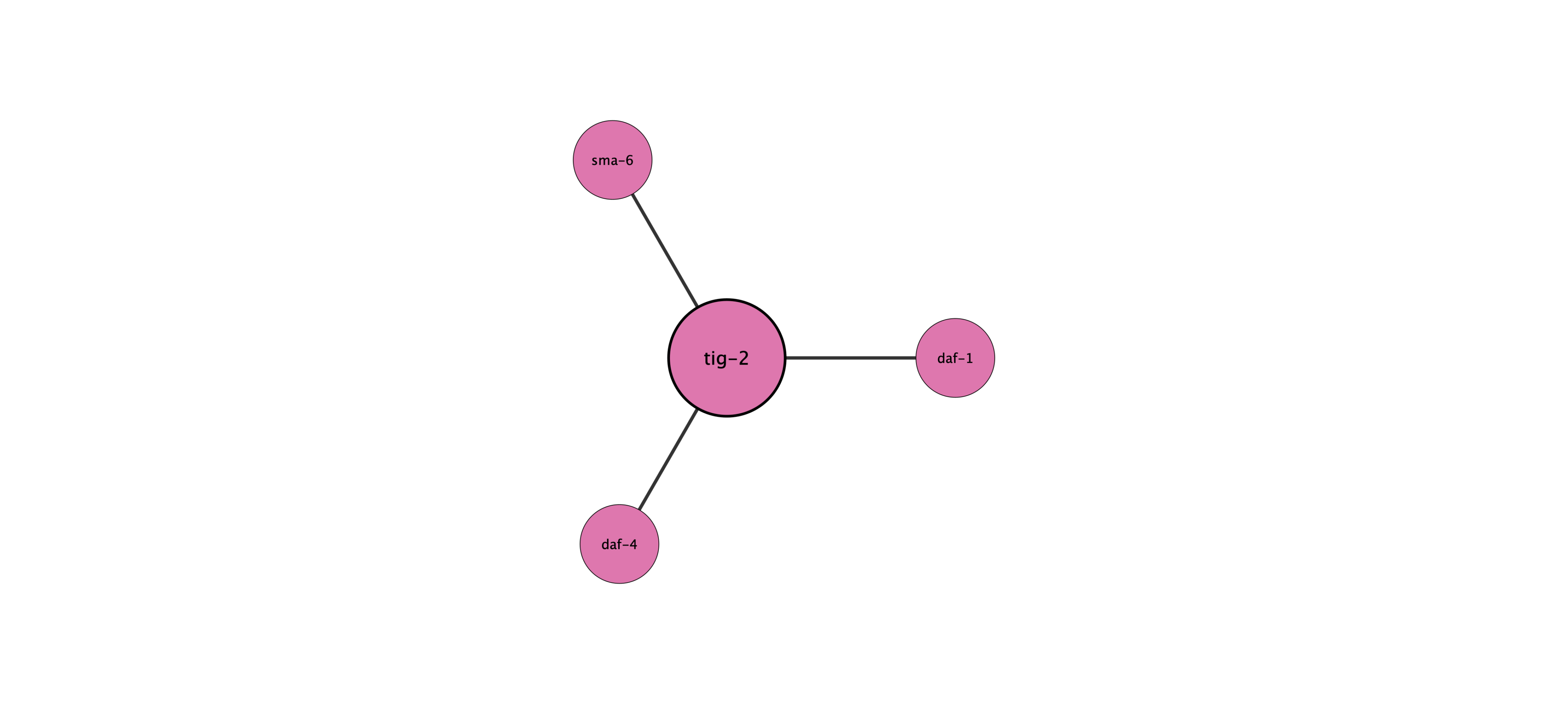 tig-2 protein interaction network