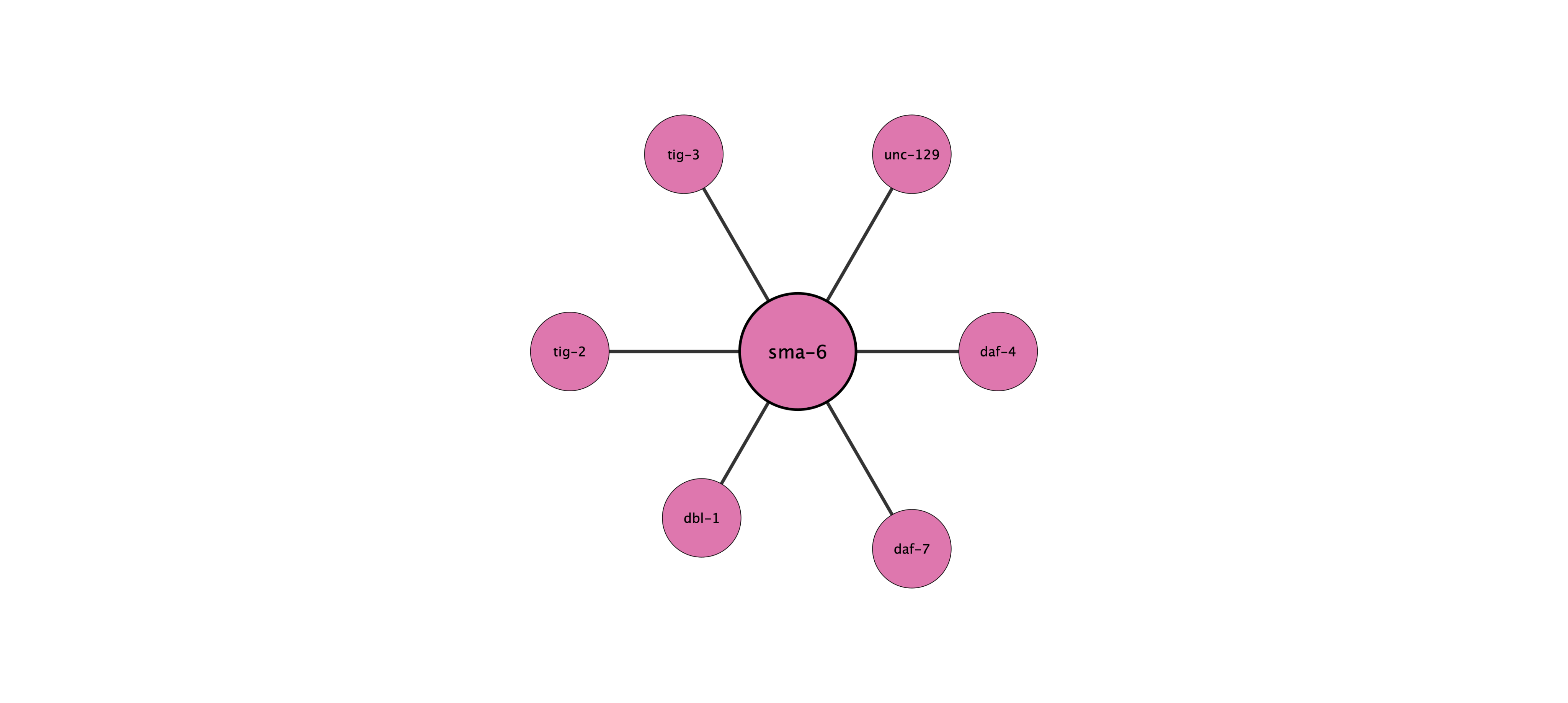 sma-6 protein interaction network