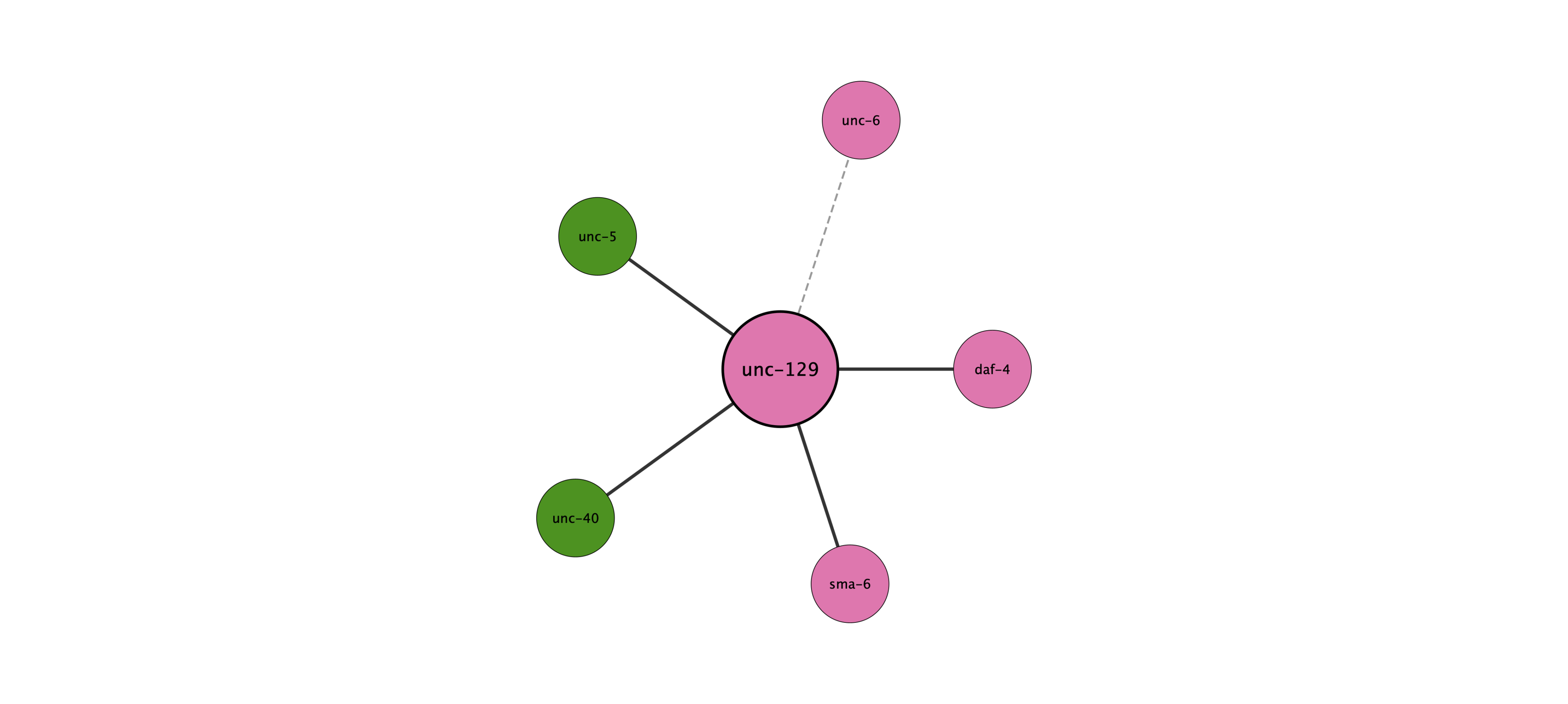 unc-129 protein interaction network