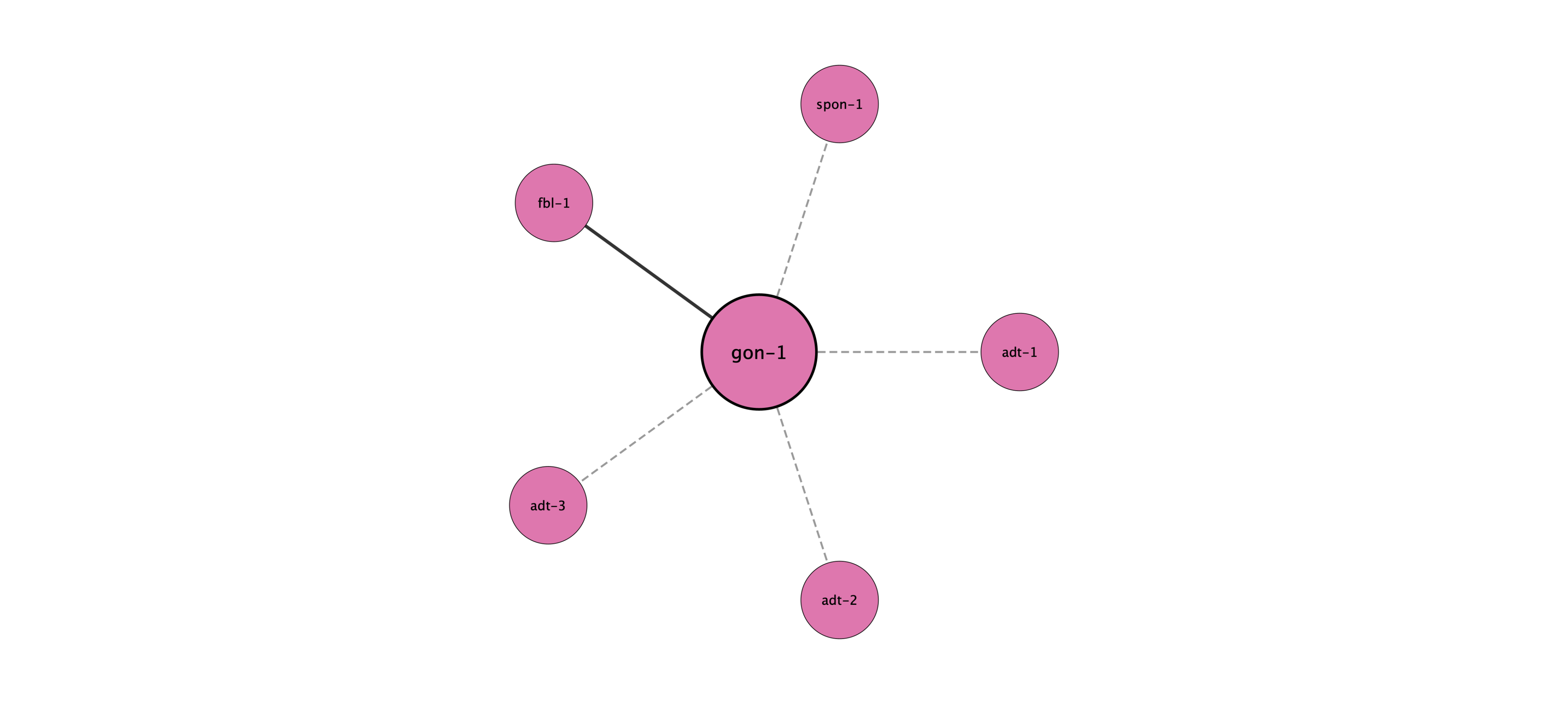 gon-1 protein interaction network