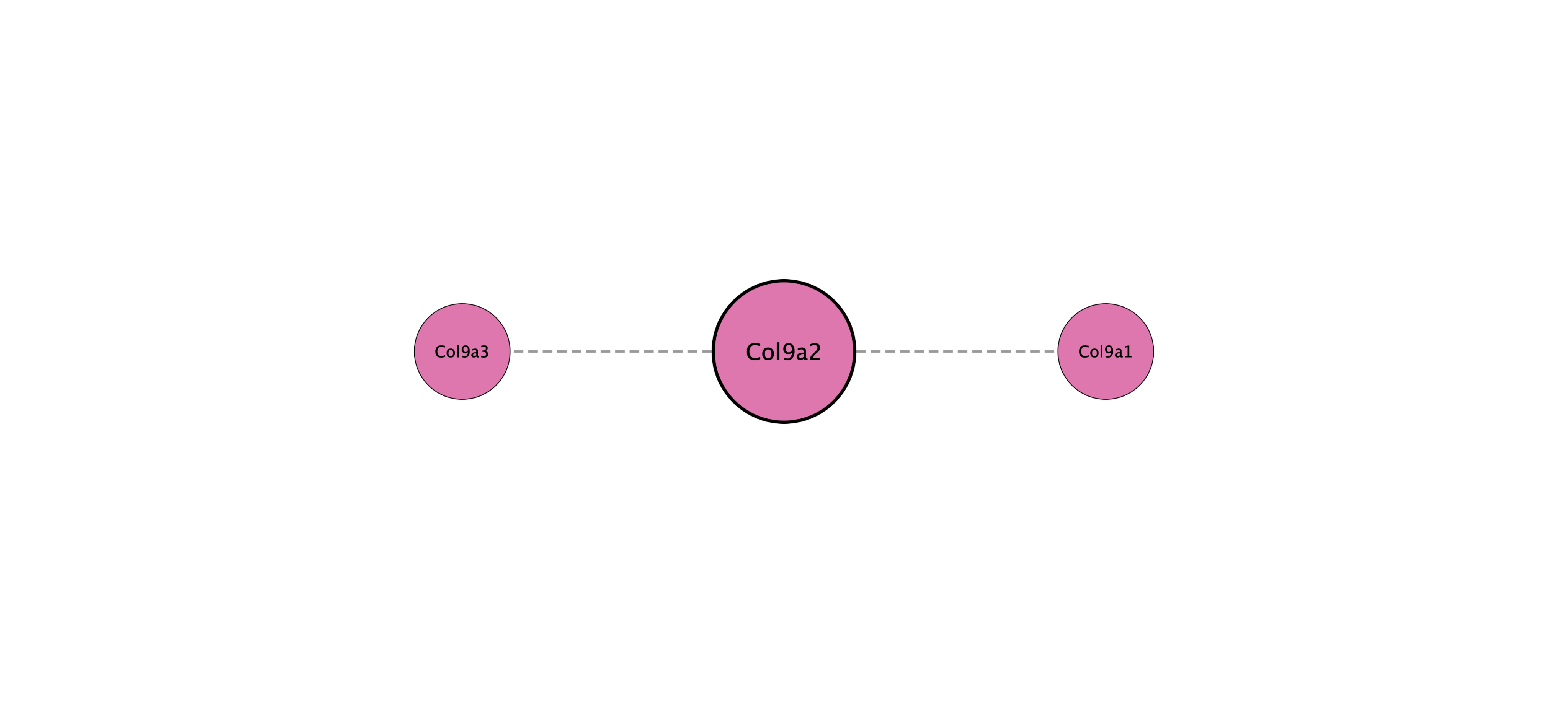Col9a2 protein interaction network