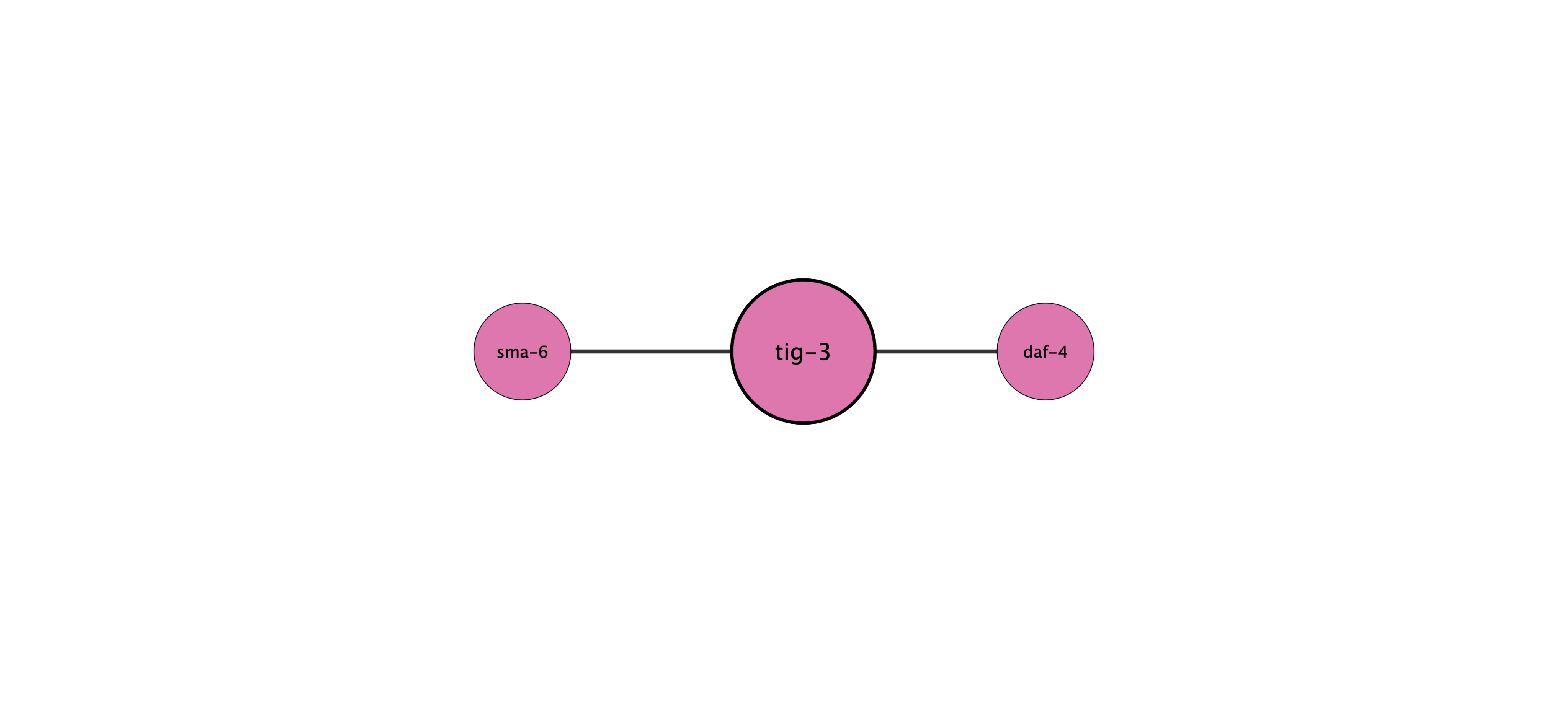 tig-3 protein interaction network