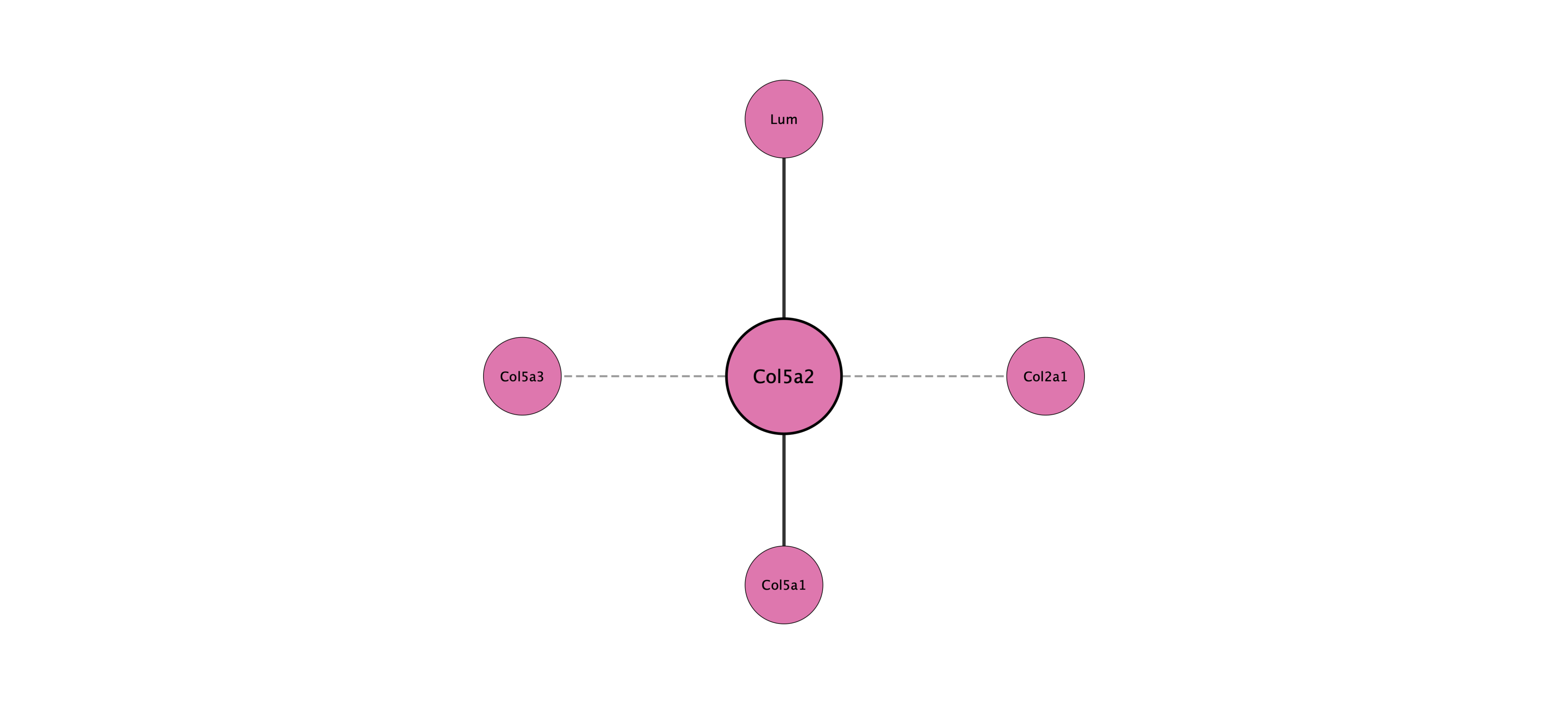 Col5a2 protein interaction network