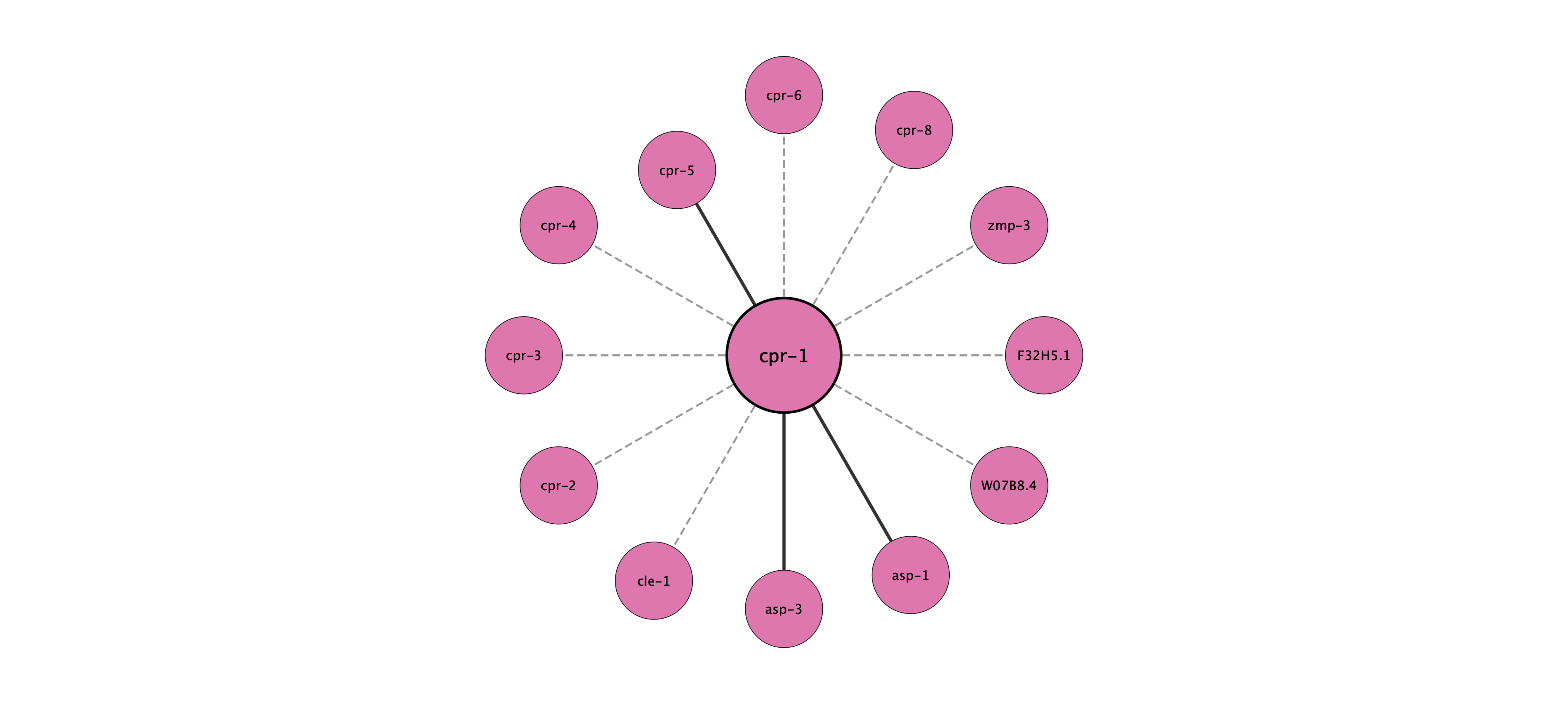 cpr-1 protein interaction network