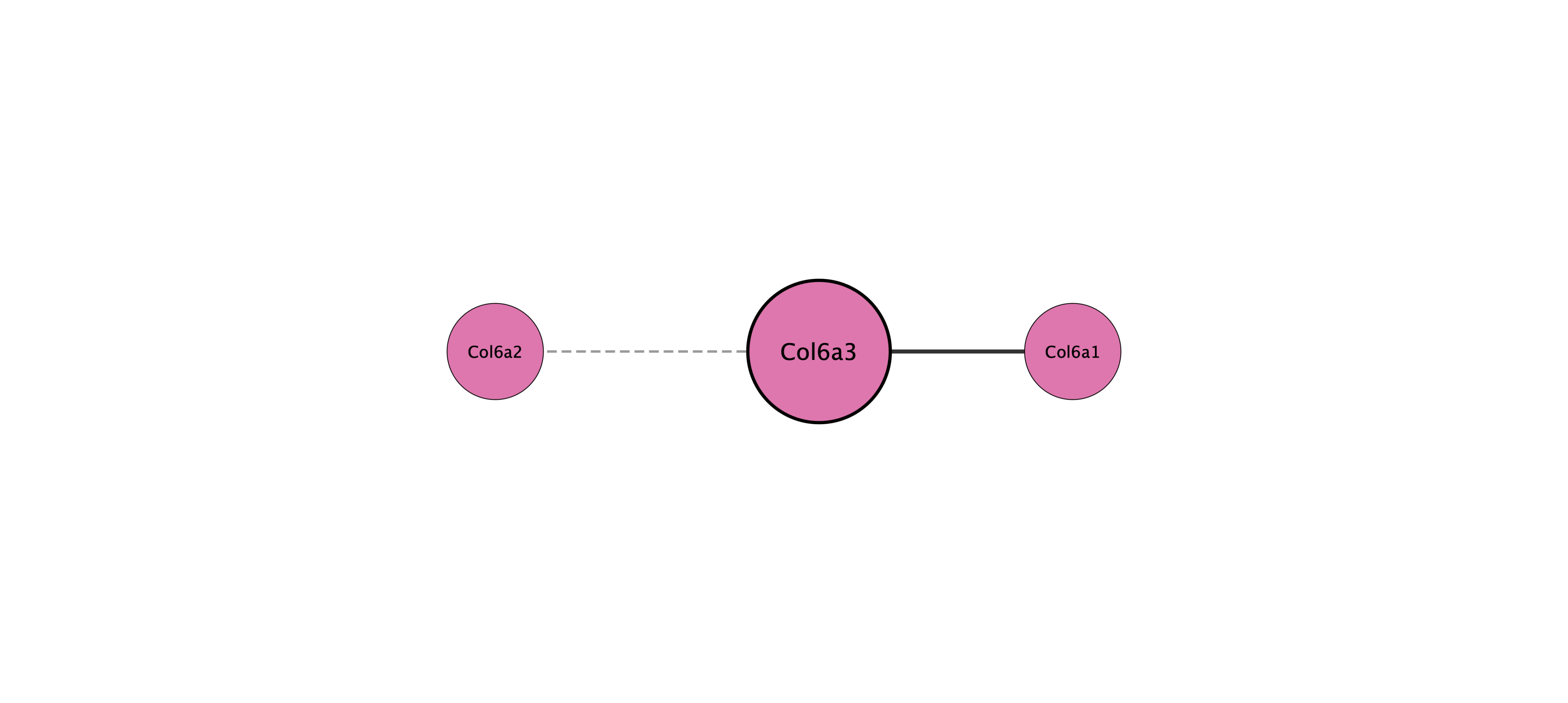 Col6a3 protein interaction network