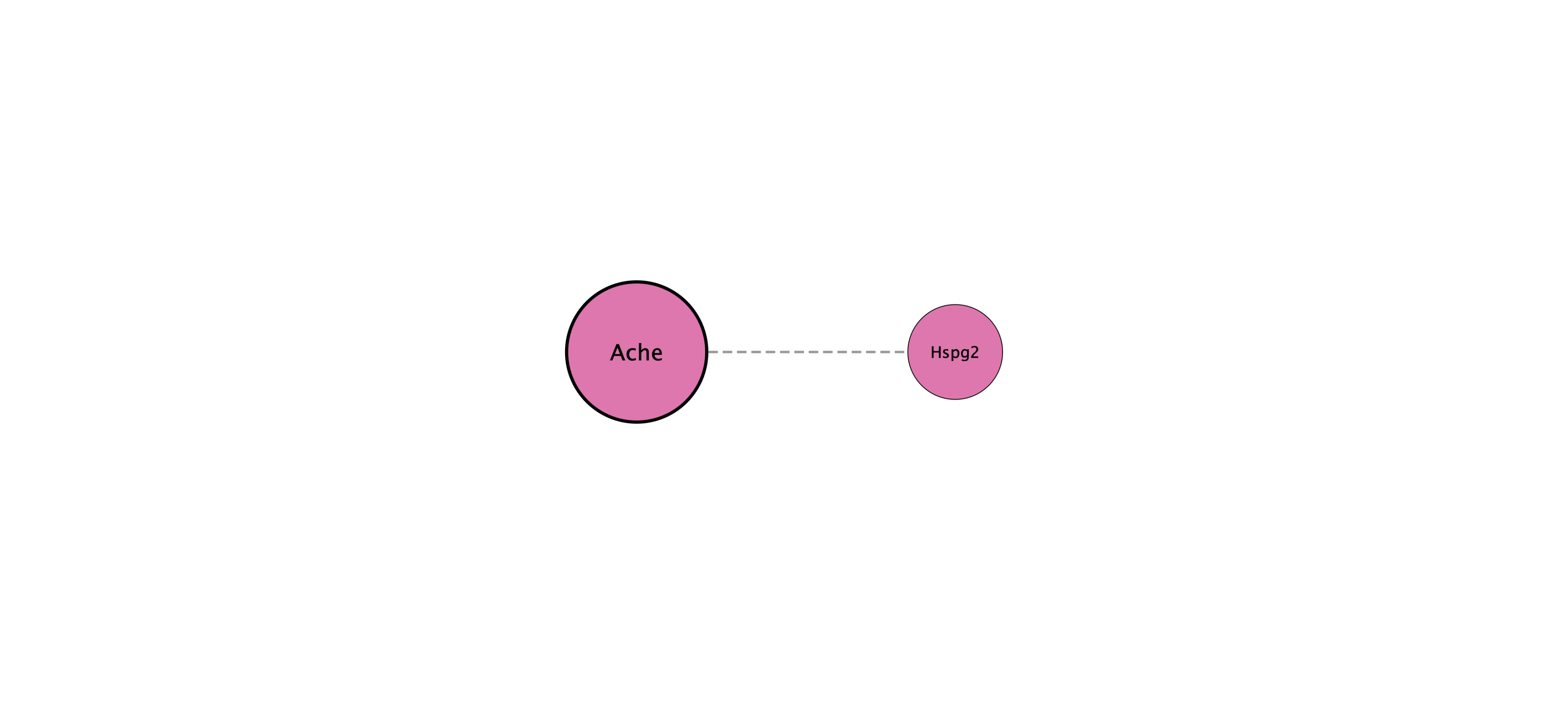 Ache protein interaction network
