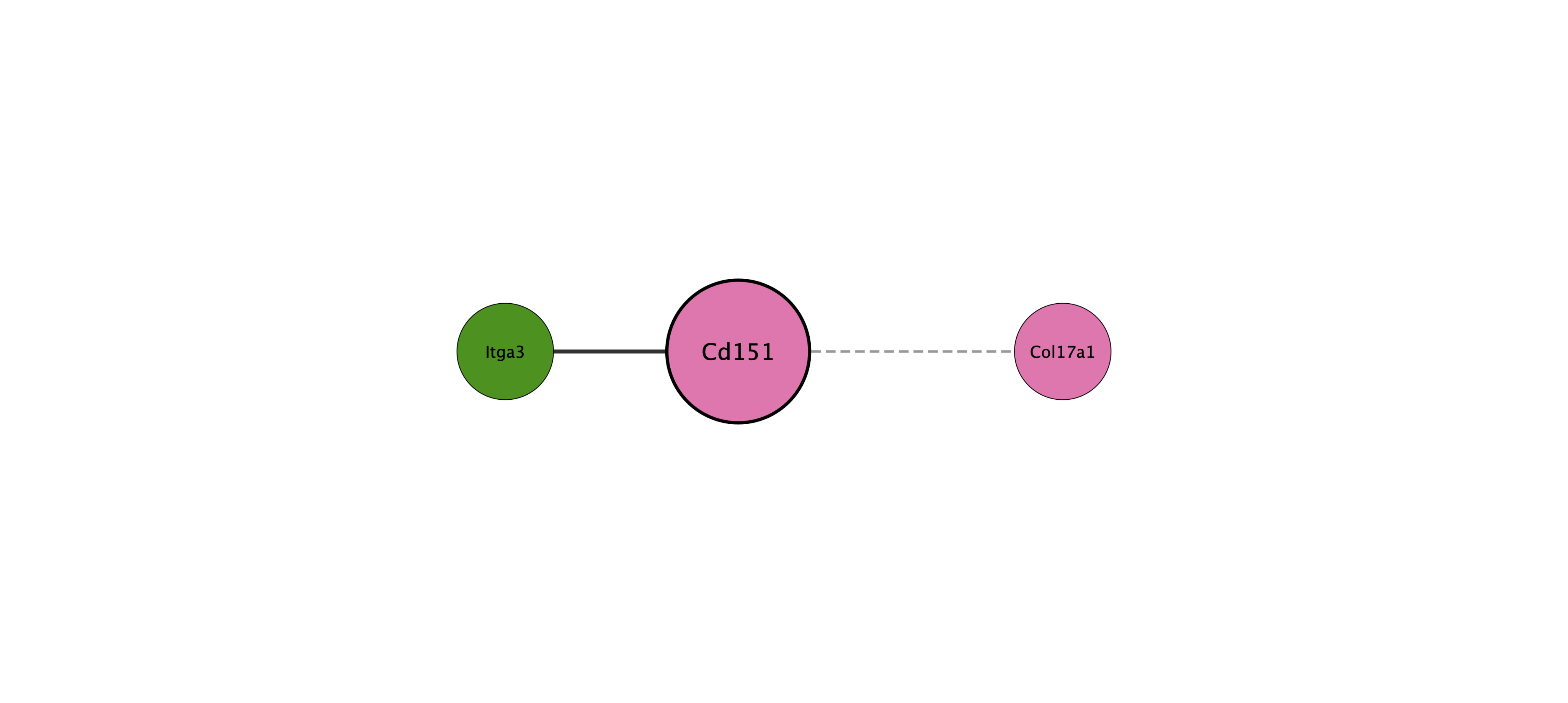 Cd151 protein interaction network
