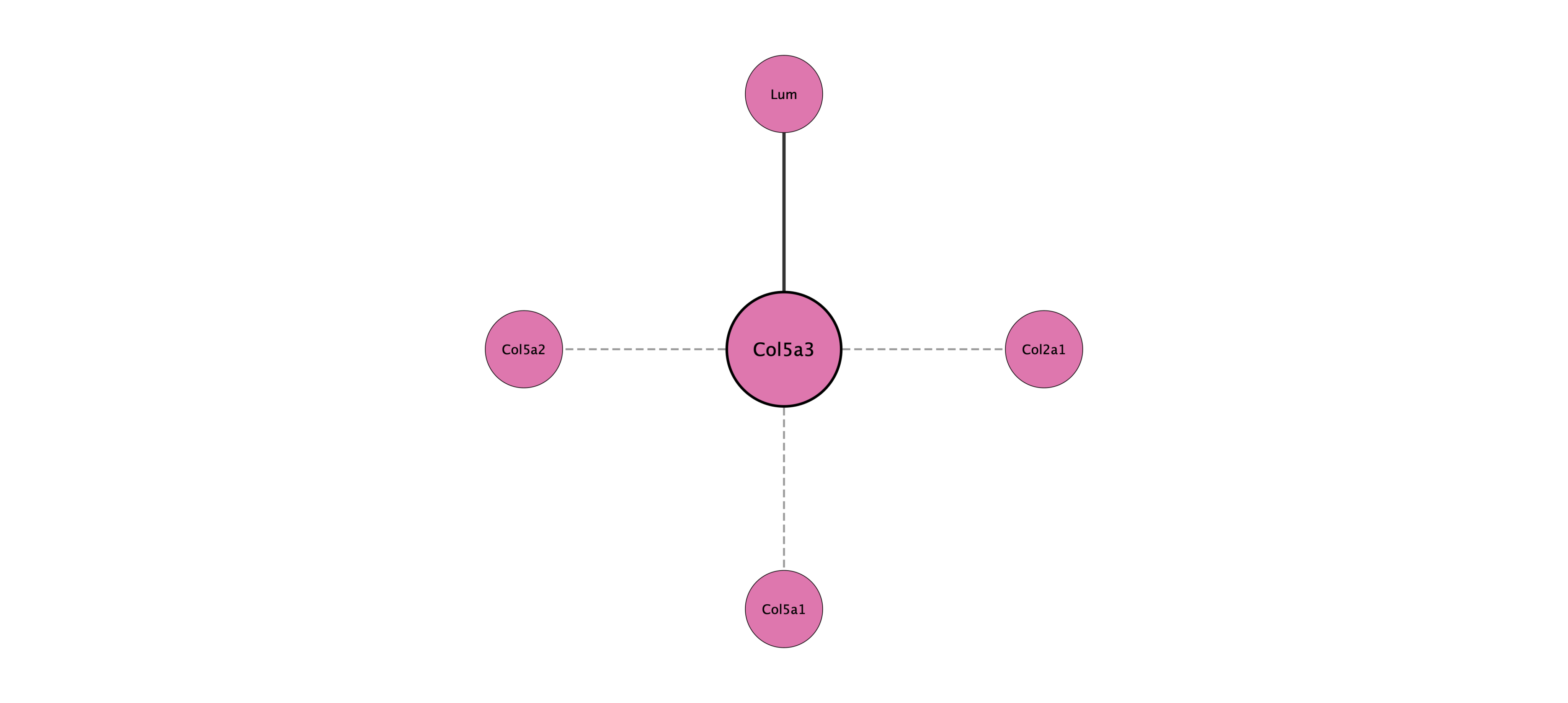 Col5a3 protein interaction network