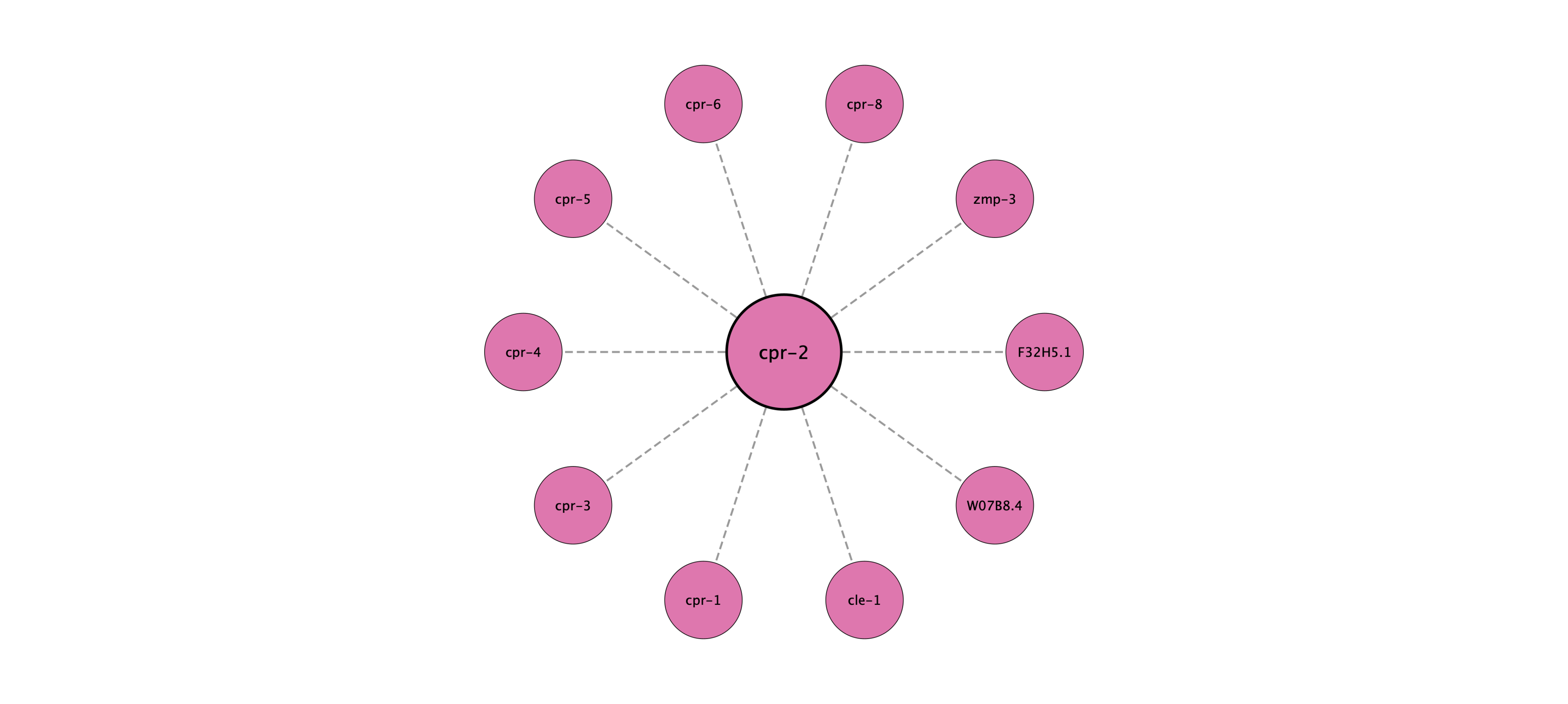 cpr-2 protein interaction network