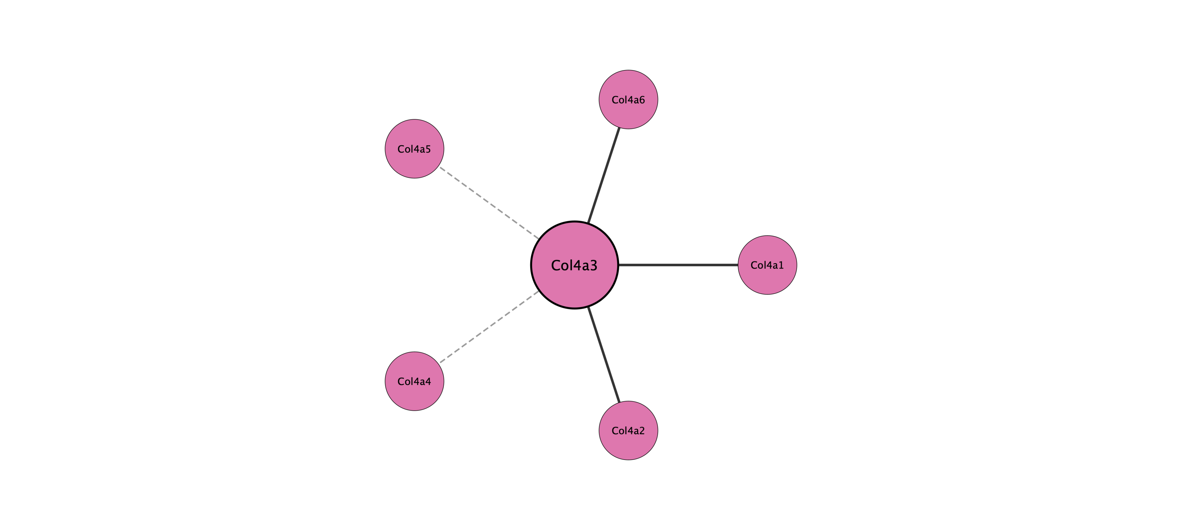 Col4a3 protein interaction network