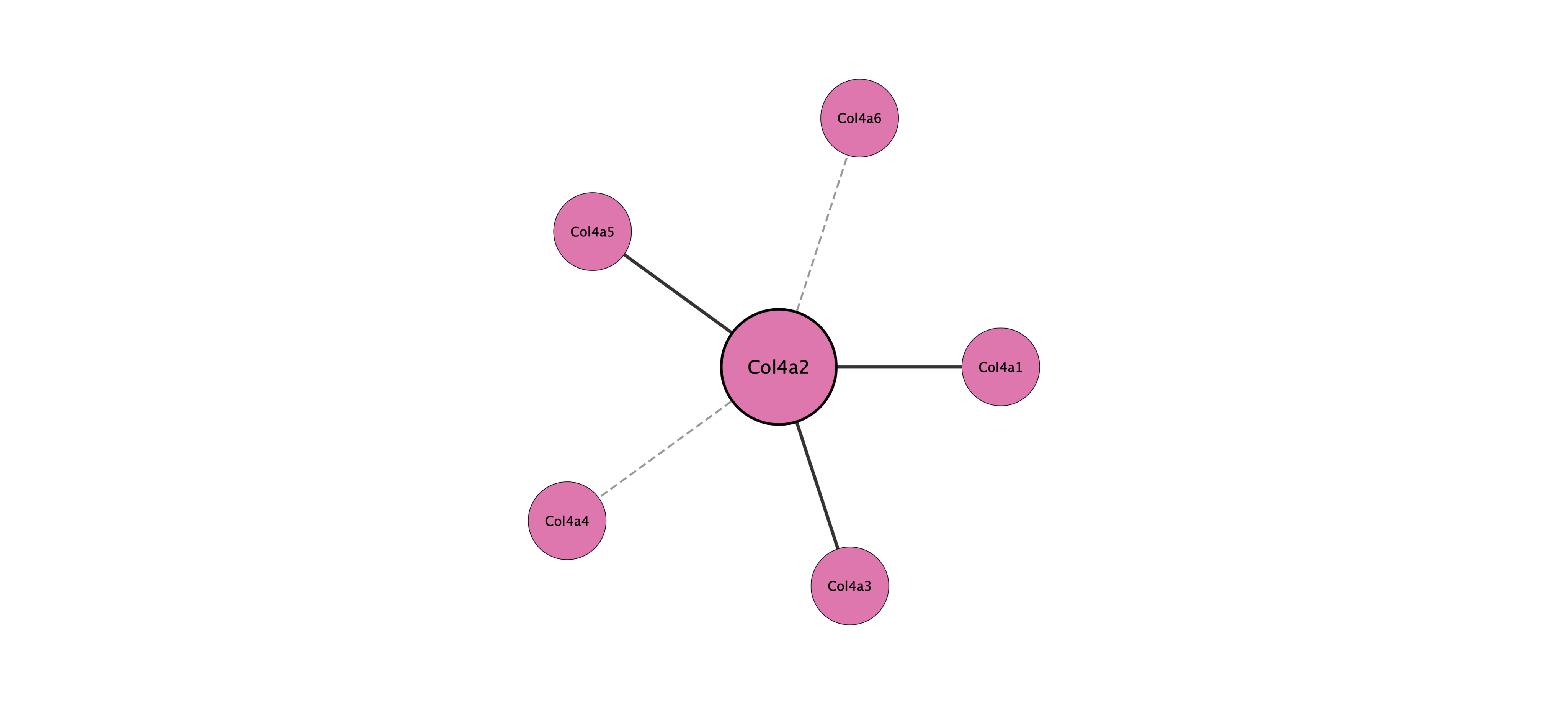 Col4a2 protein interaction network