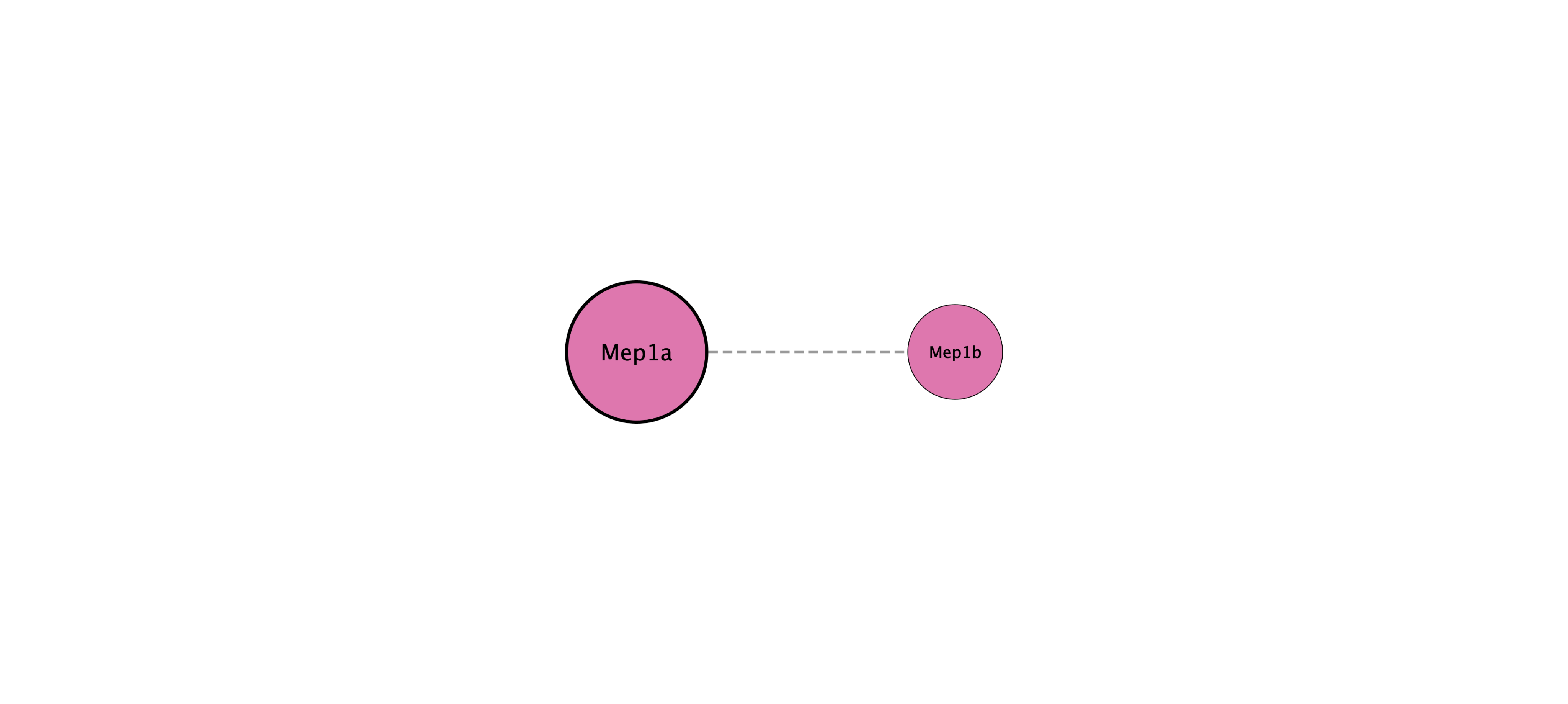 Mep1a protein interaction network