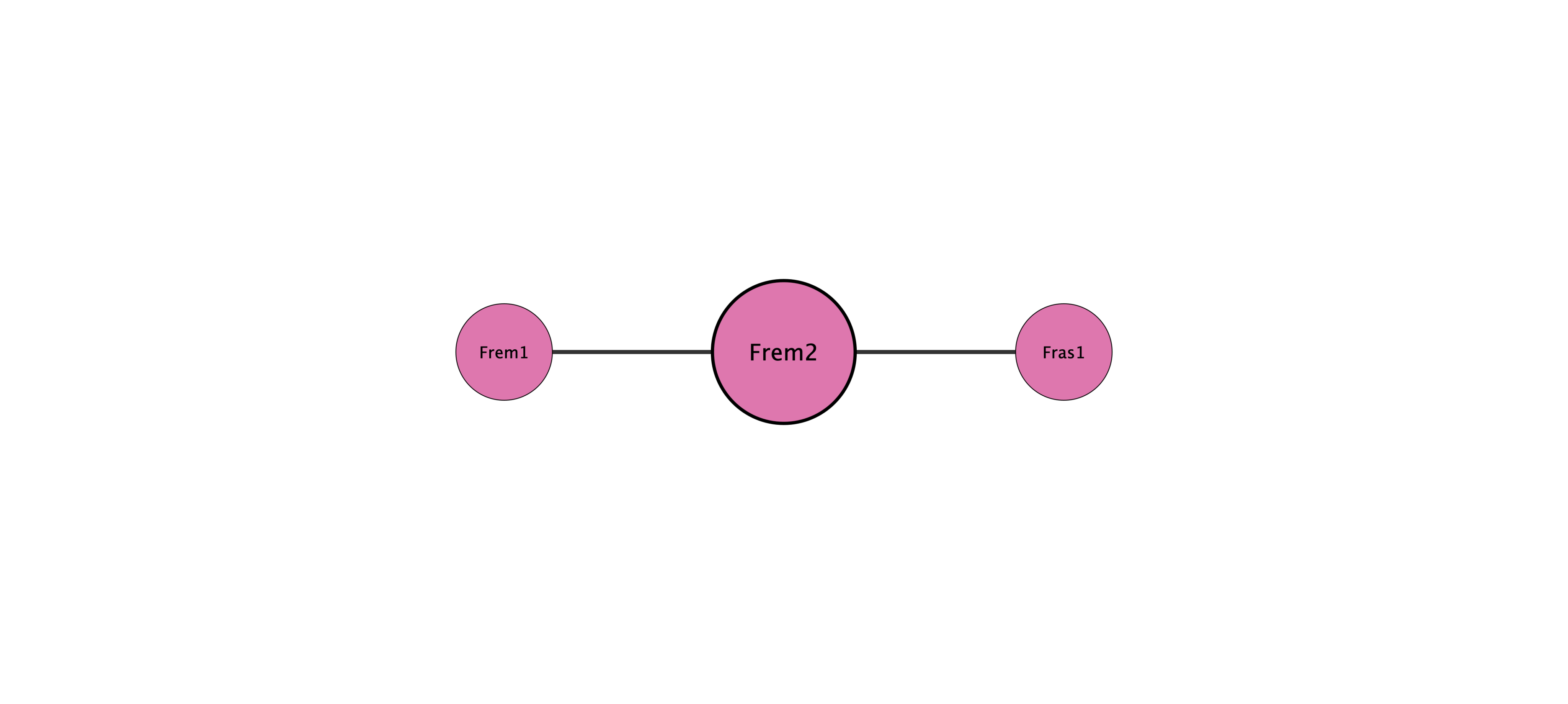 Frem2 protein interaction network