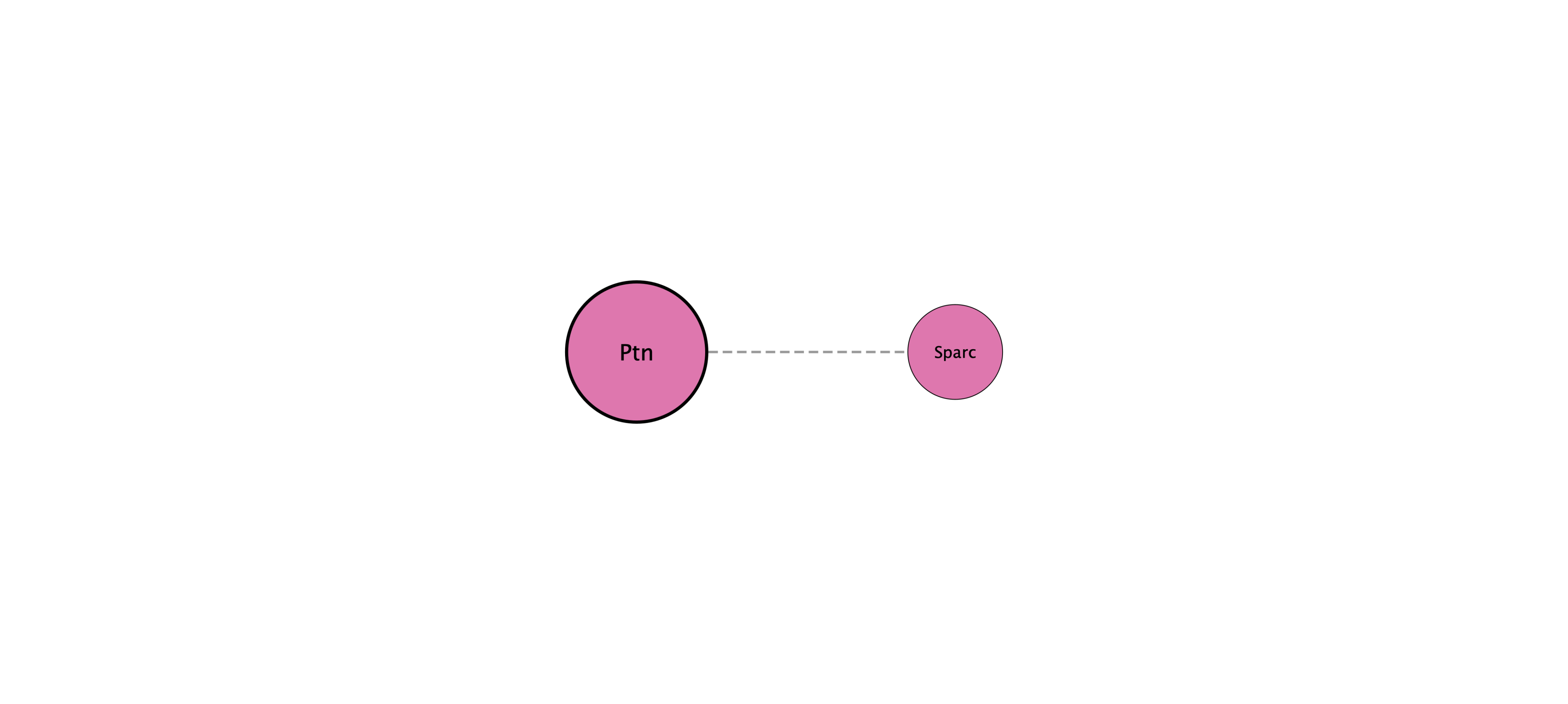 Ptn protein interaction network