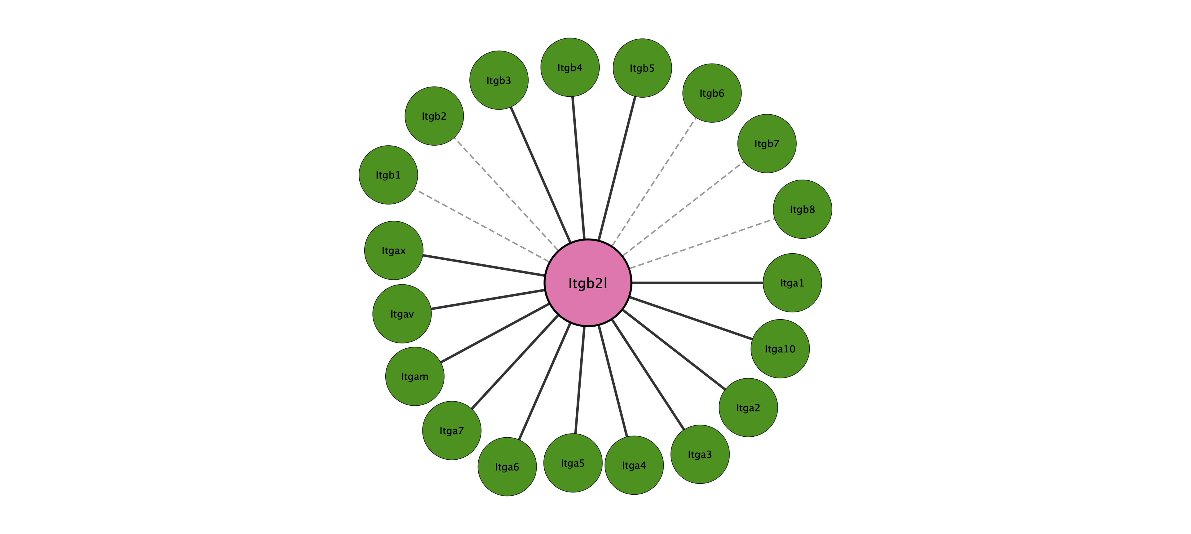 Itgb2l protein interaction network