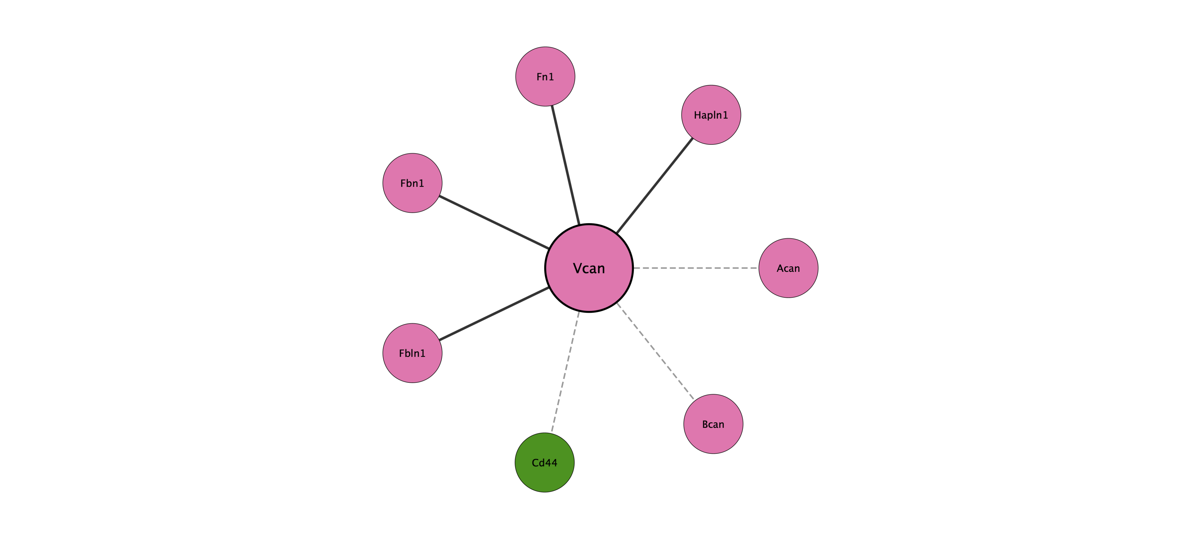 Vcan protein interaction network