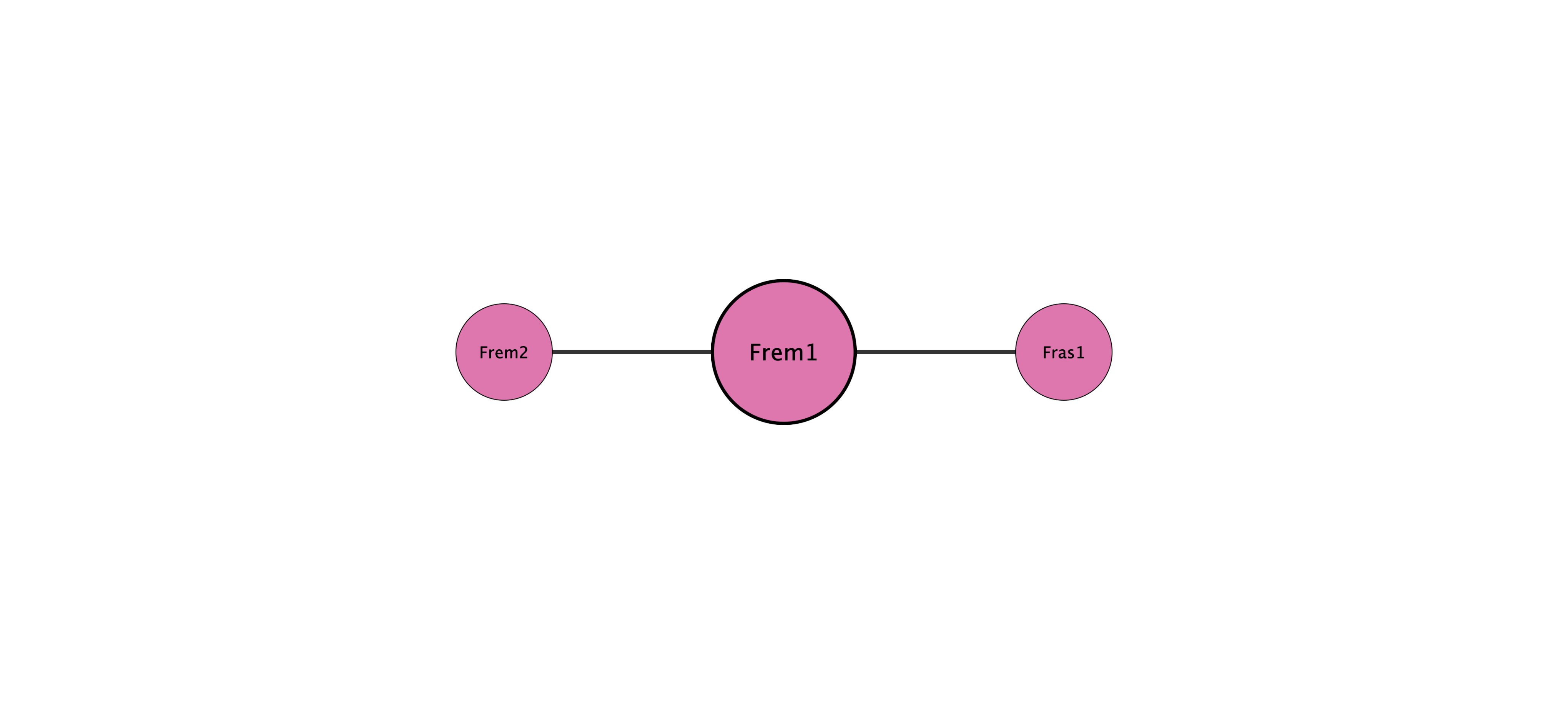Frem1 protein interaction network