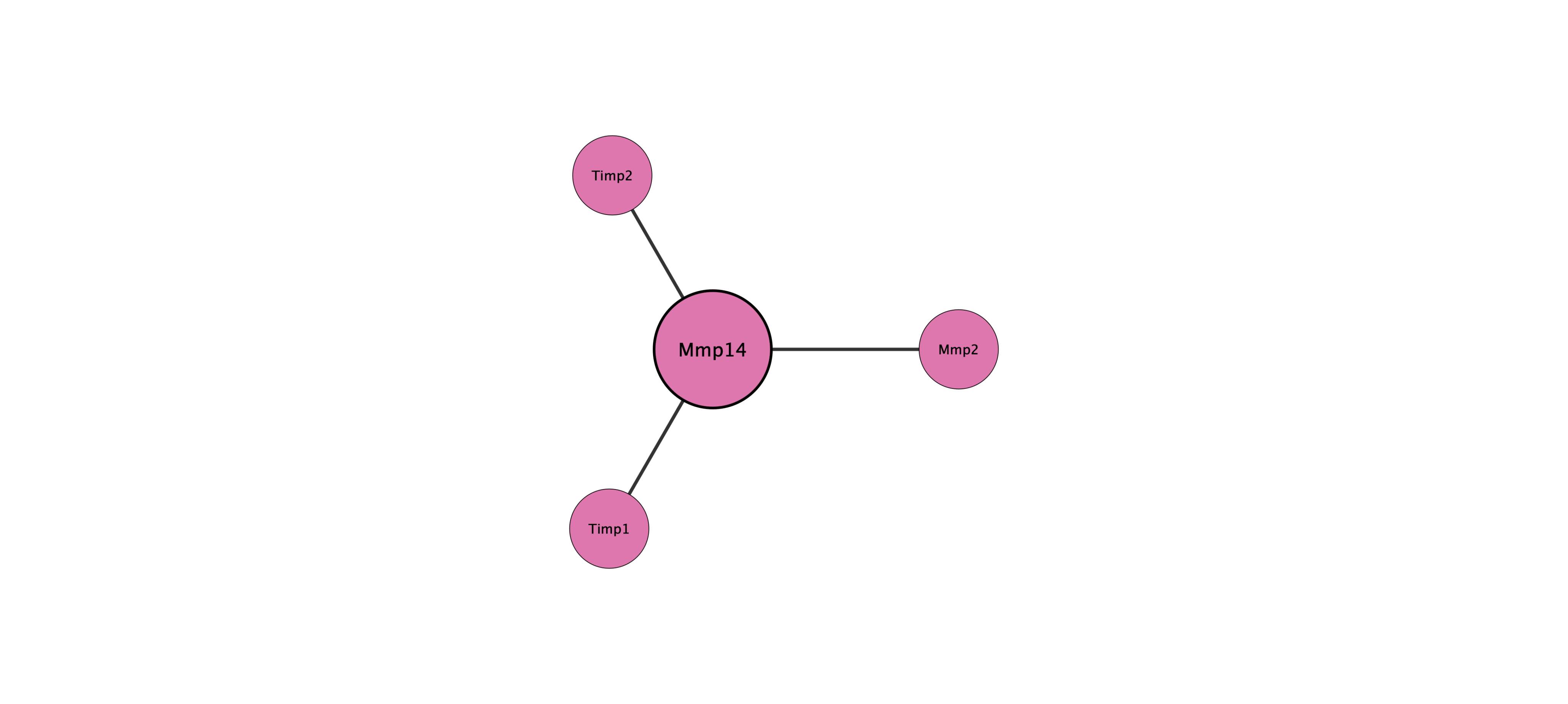 Mmp14 protein interaction network