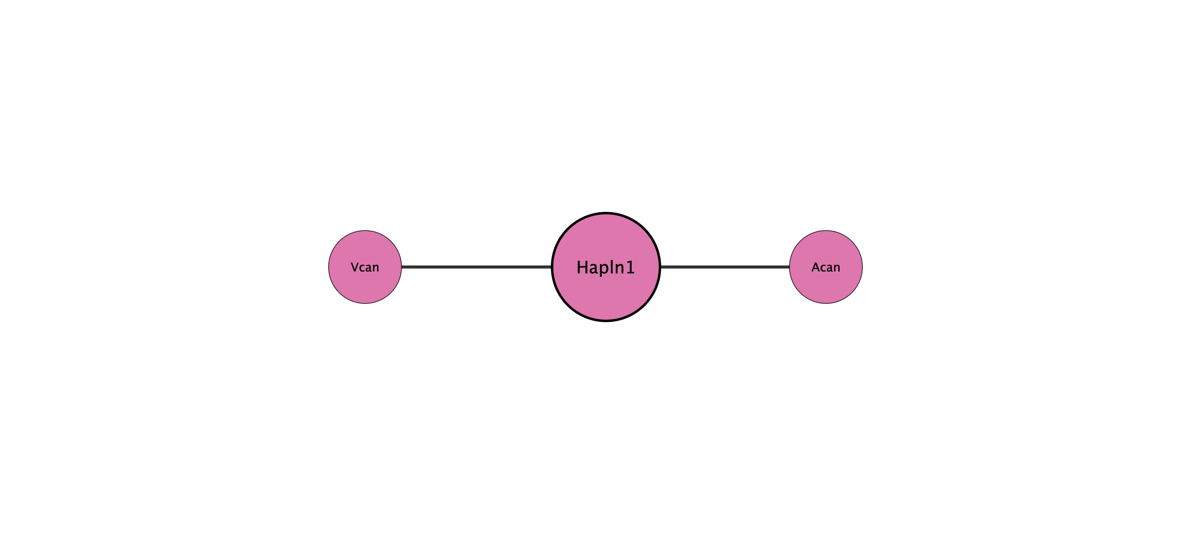 Hapln1 protein interaction network