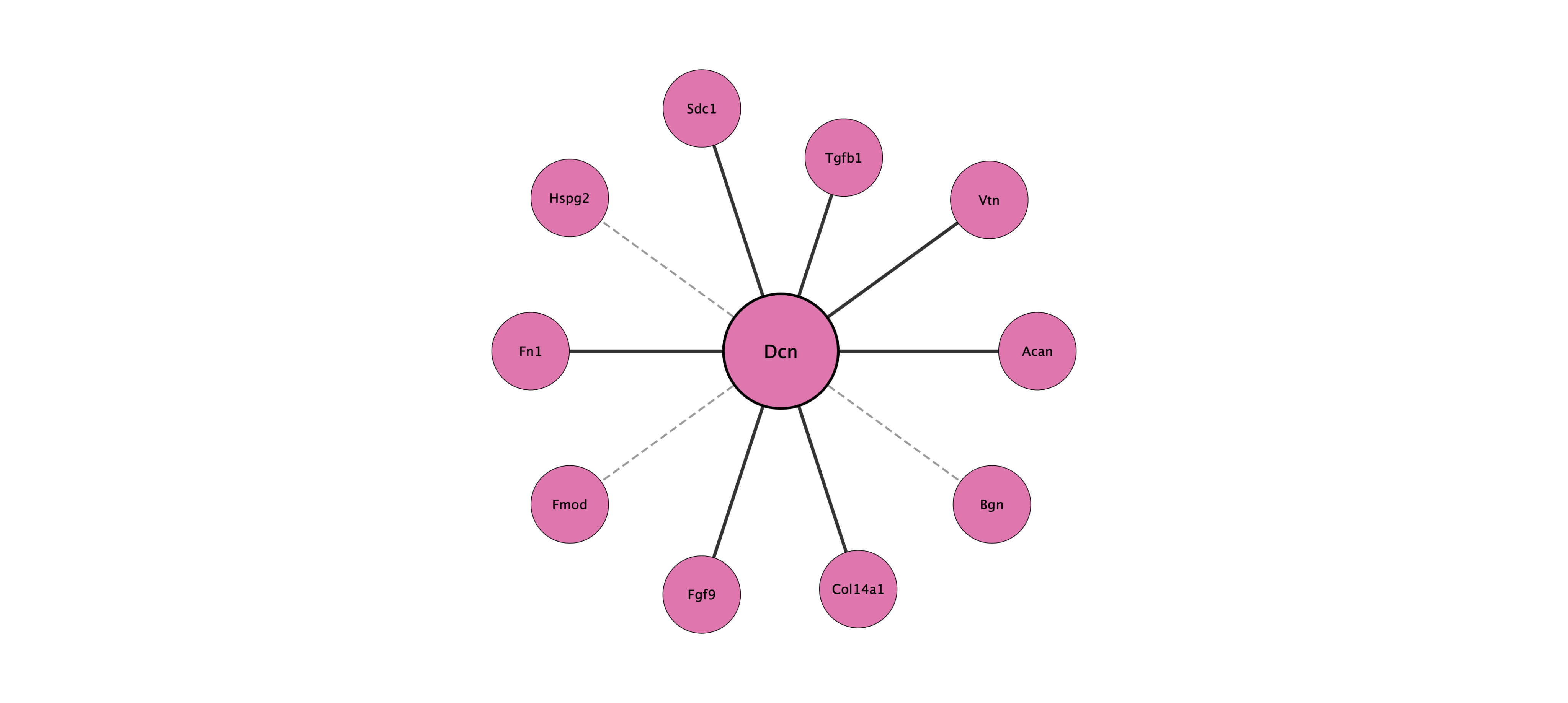 Dcn protein interaction network