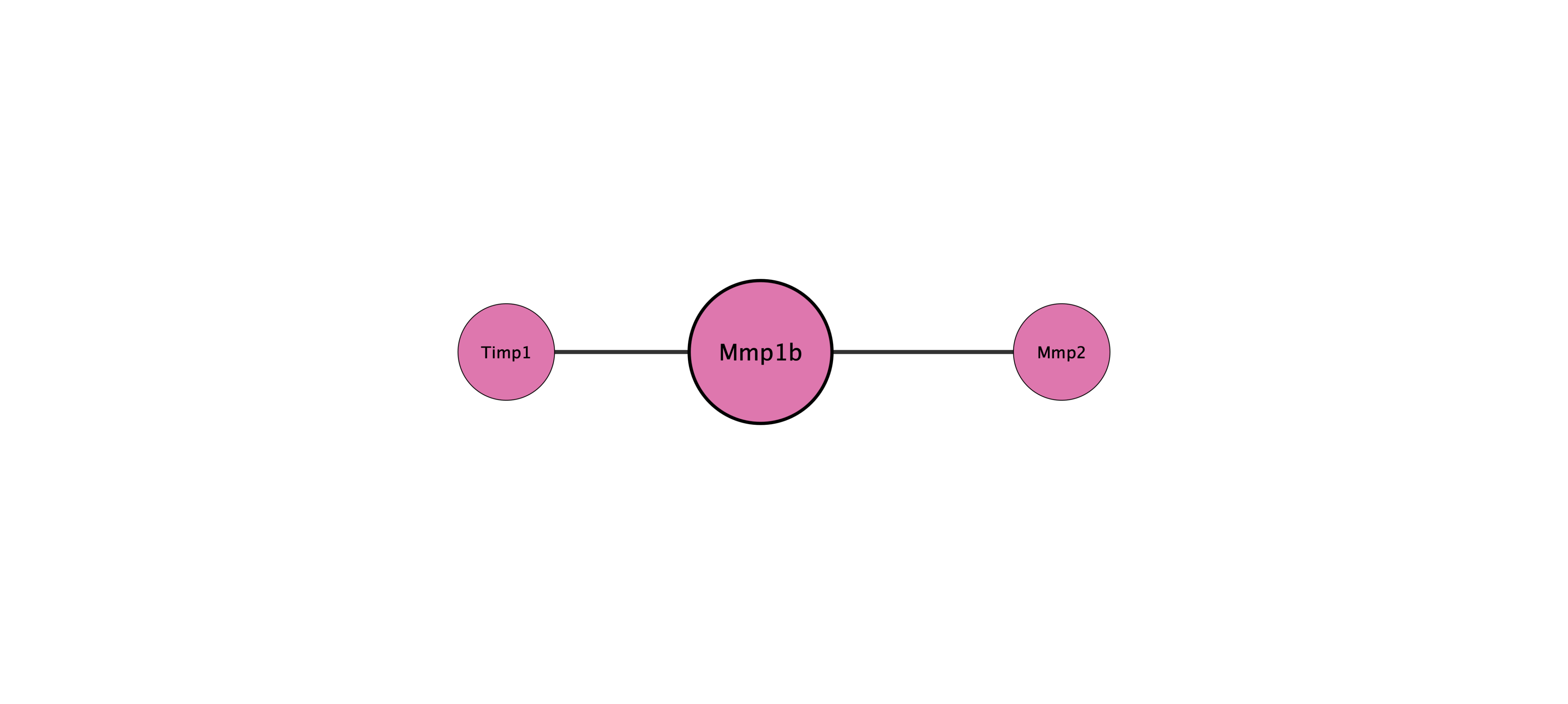 Mmp1b protein interaction network