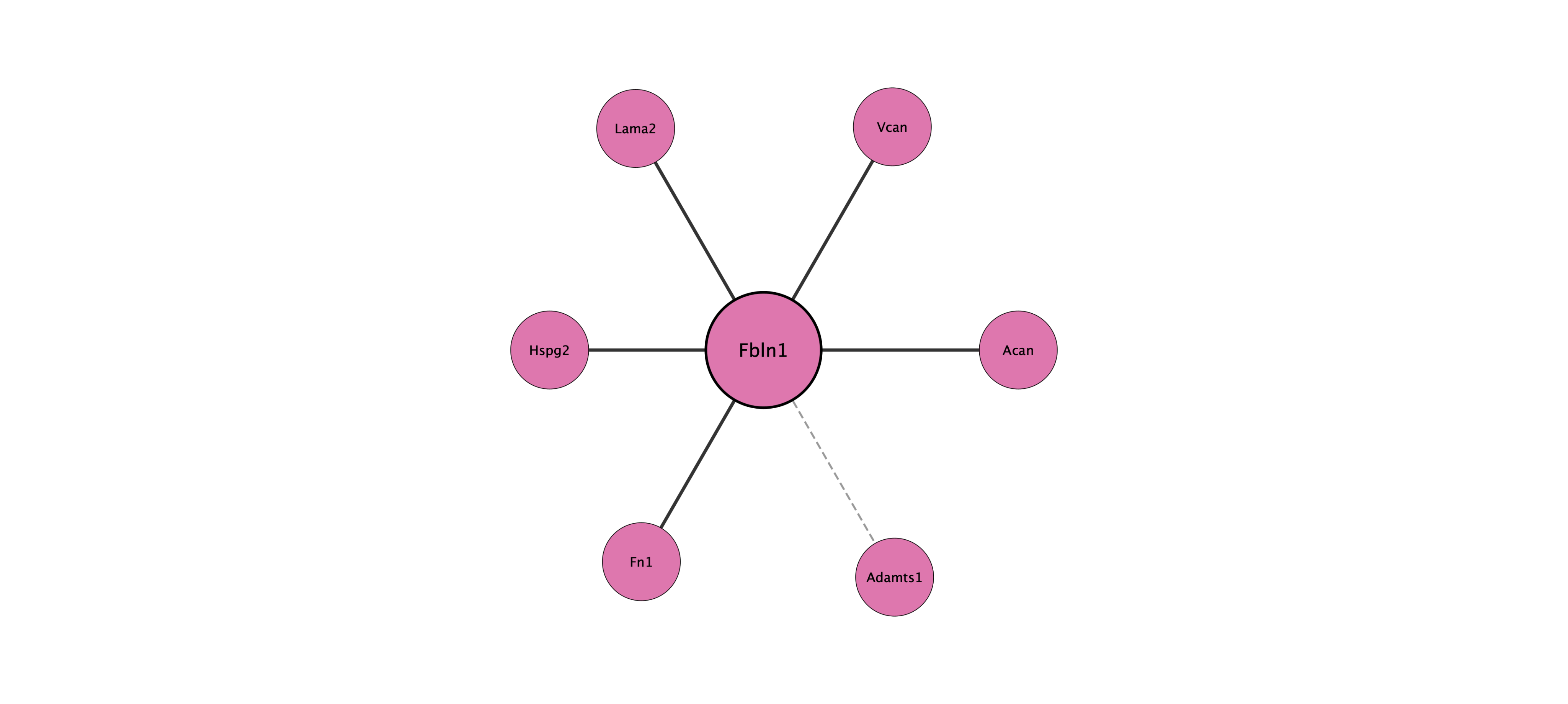Fbln1 protein interaction network