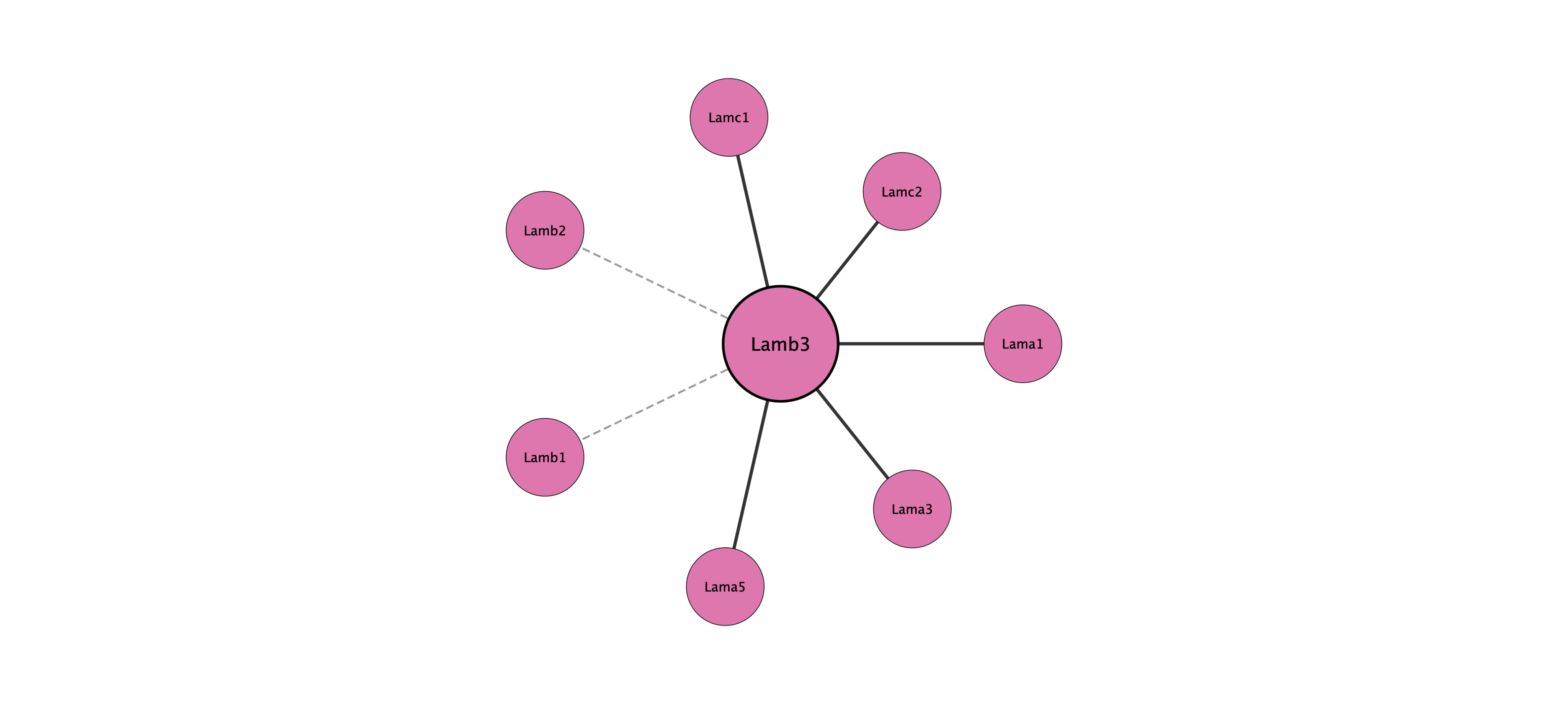 Lamb3 protein interaction network