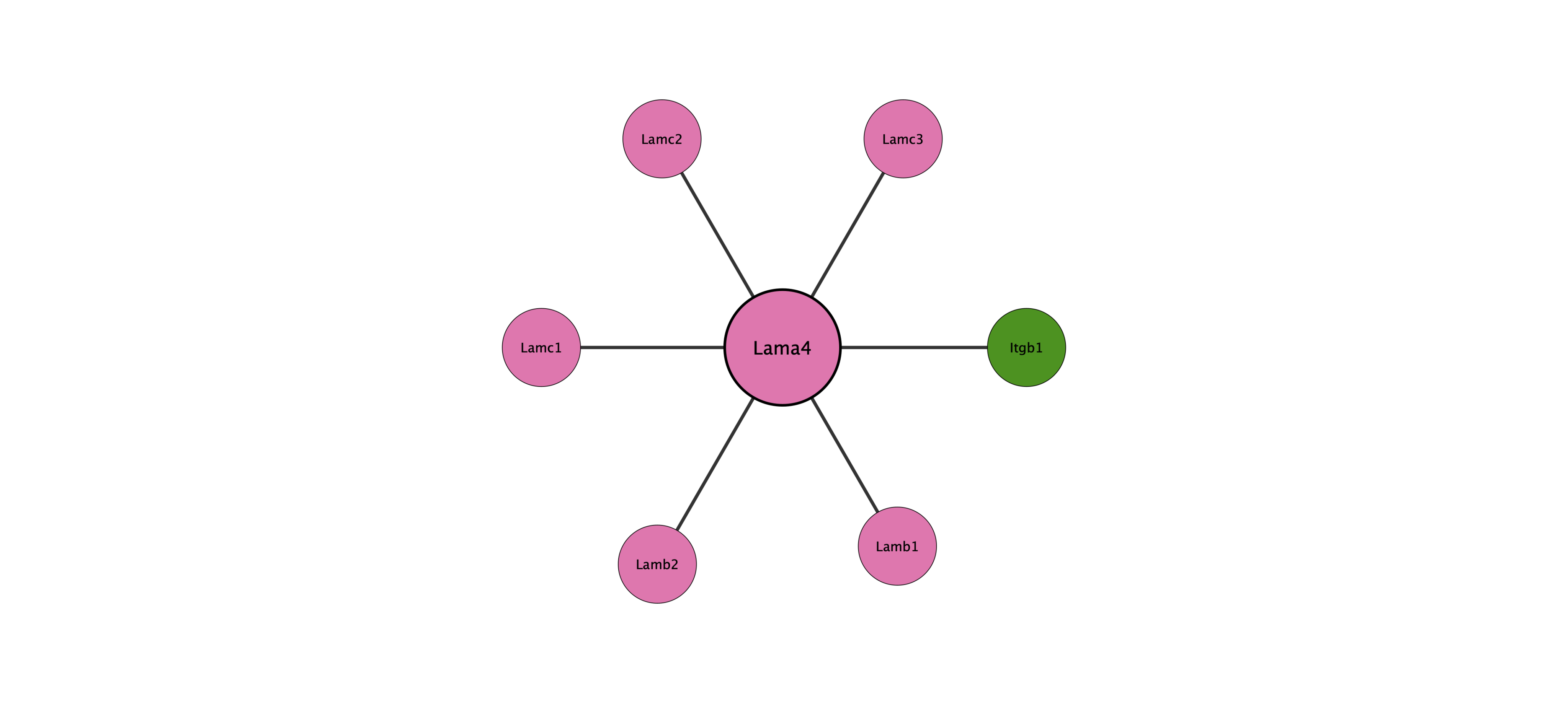 Lama4 protein interaction network