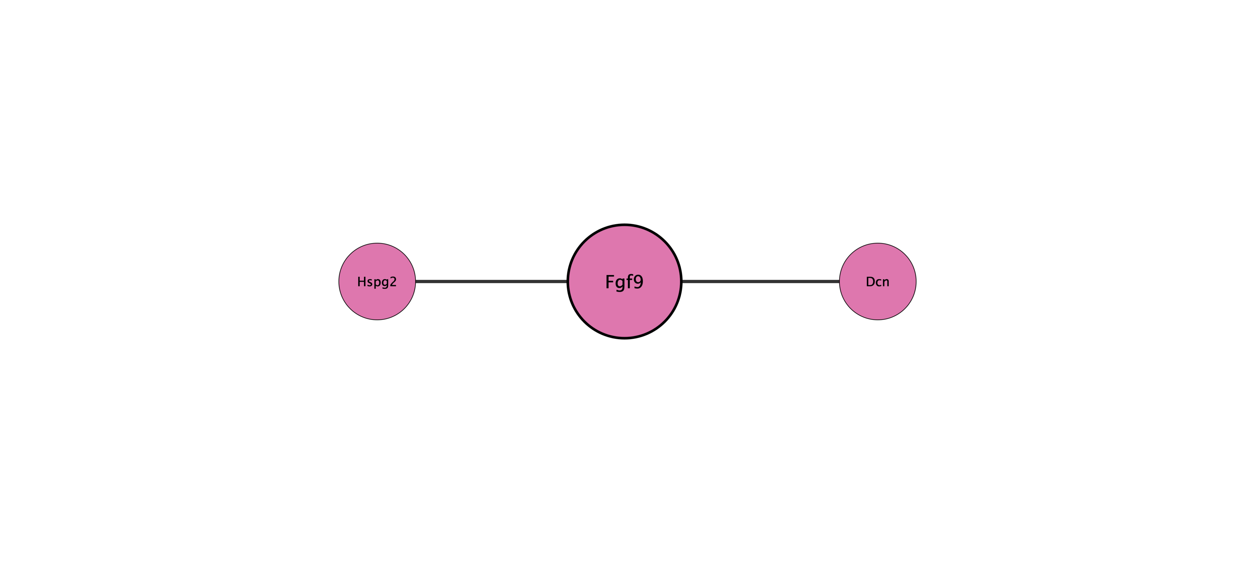 Fgf9 protein interaction network