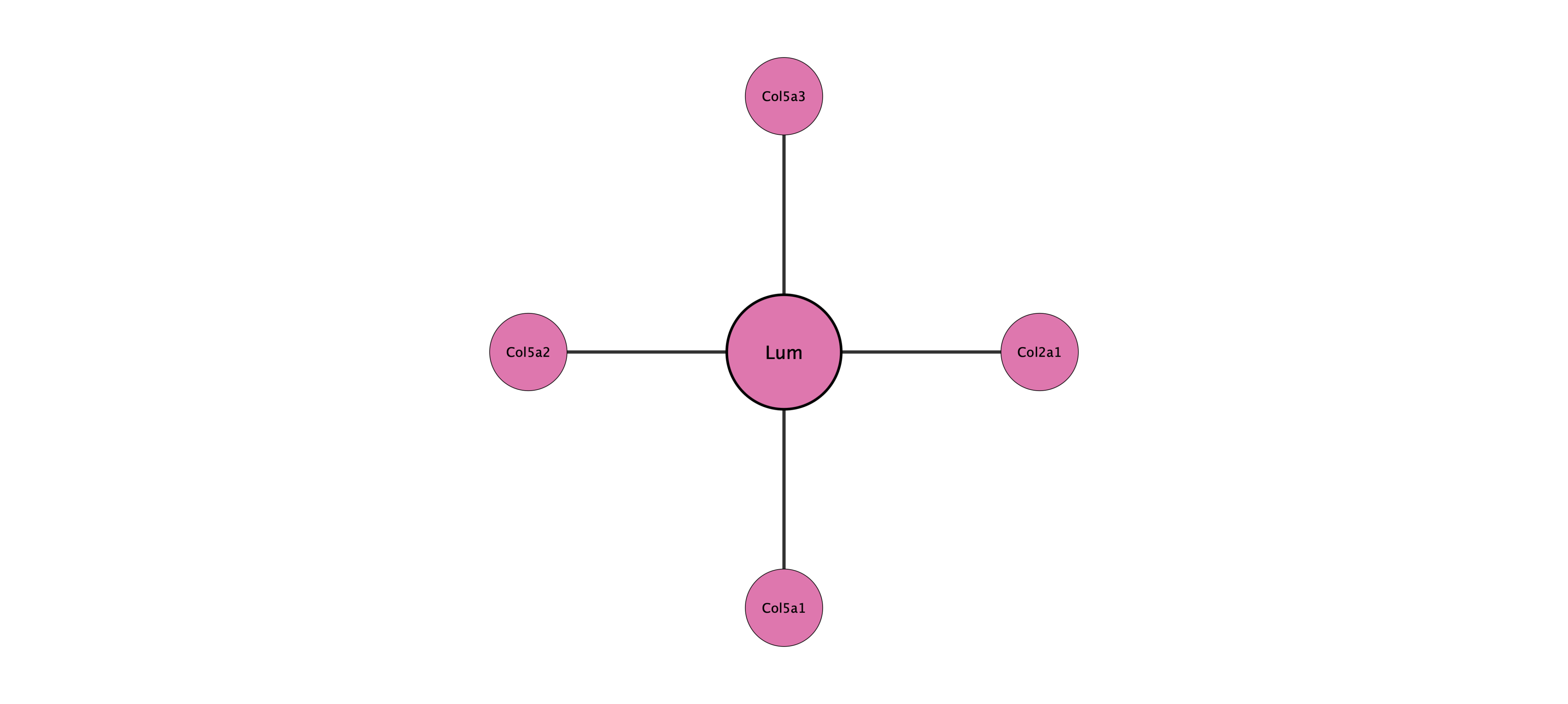 Lum protein interaction network