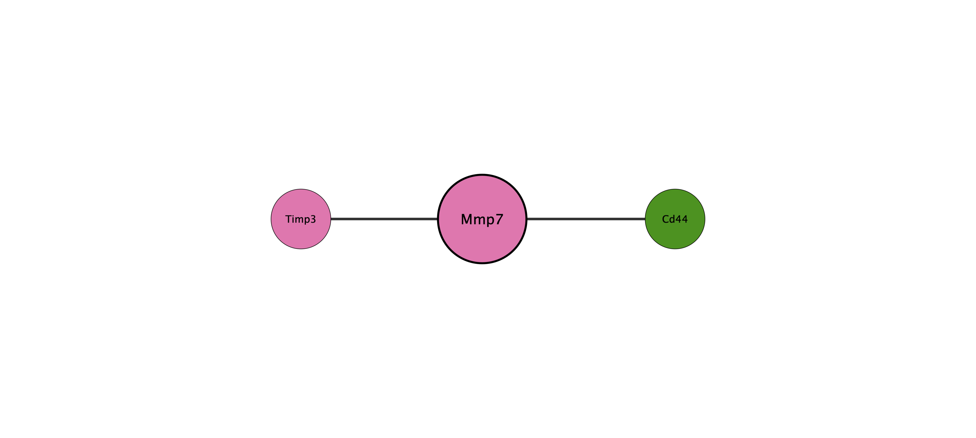Mmp7 protein interaction network