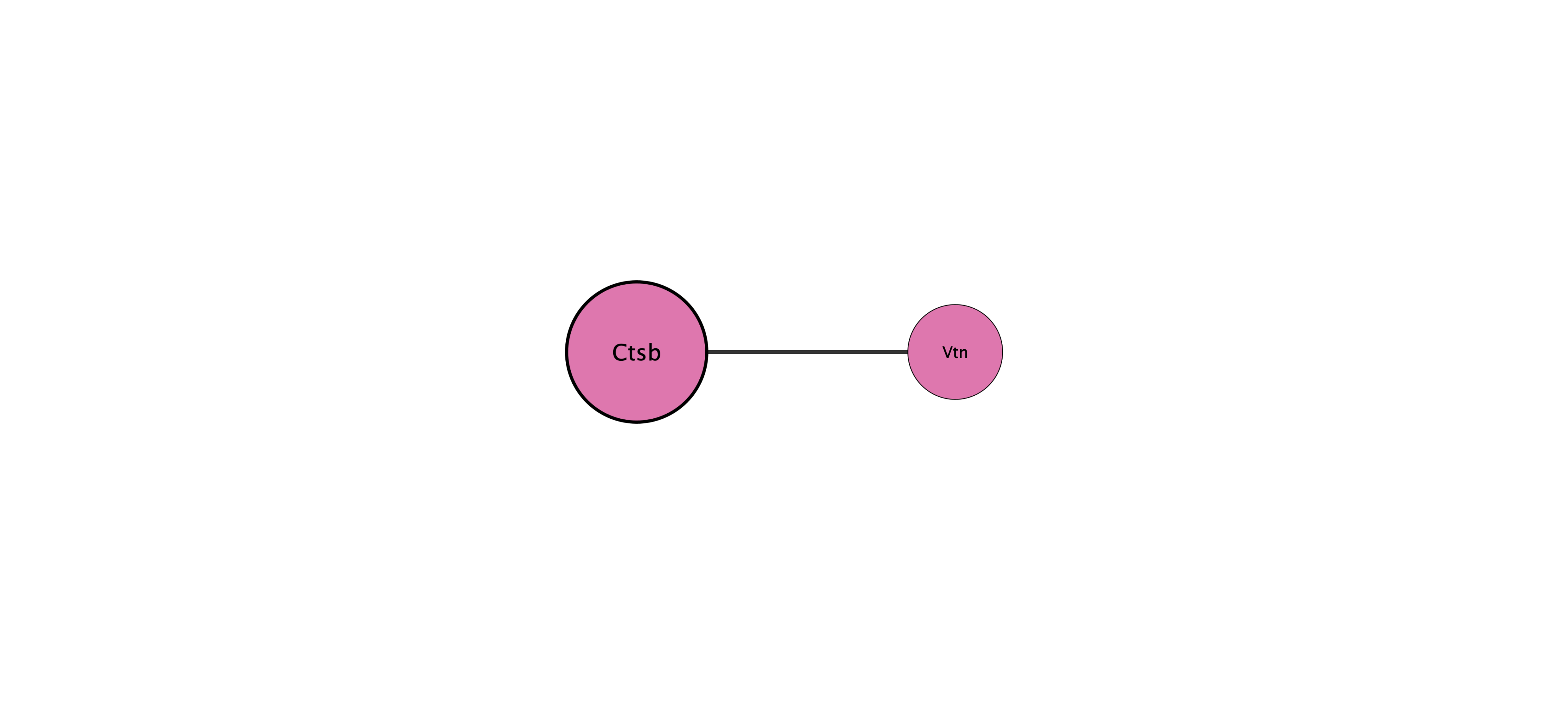 Ctsb protein interaction network