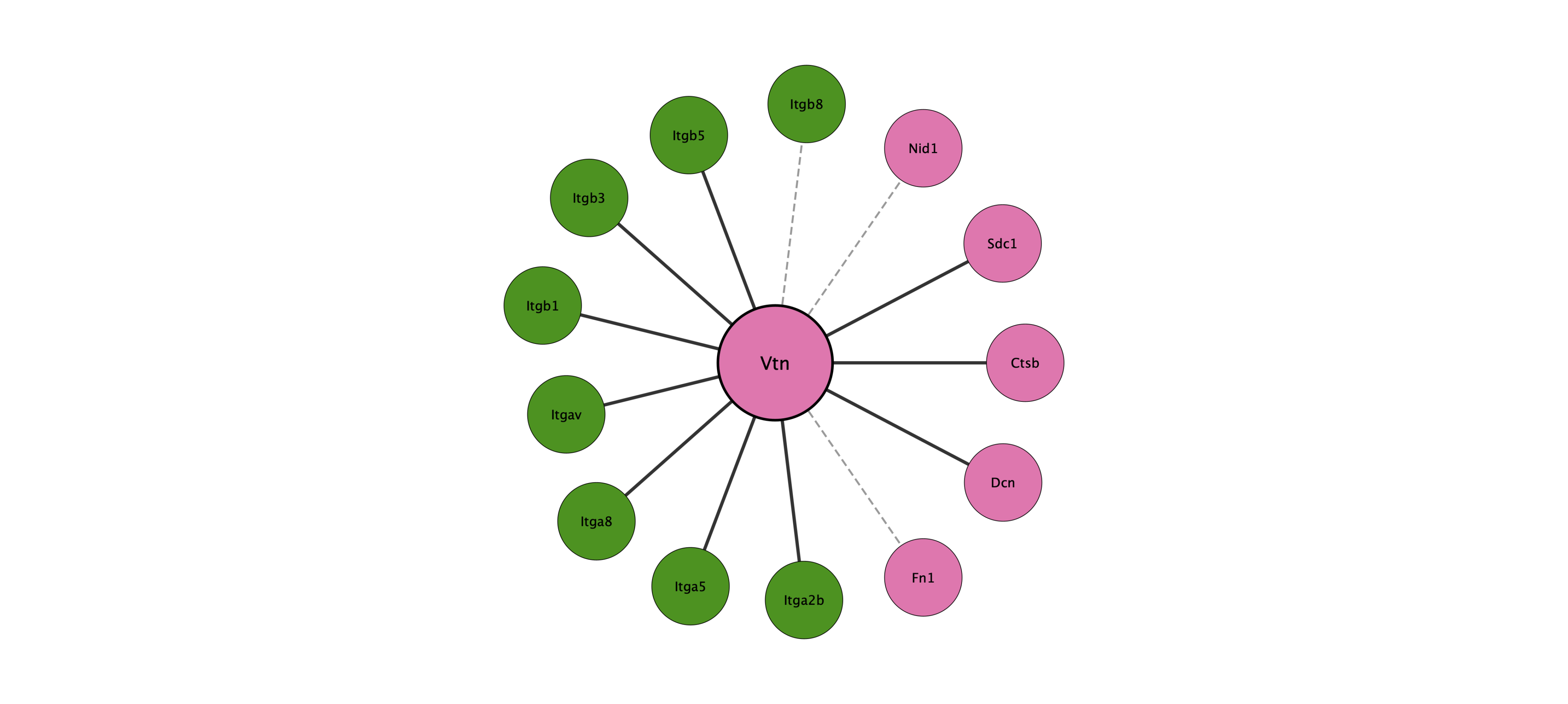 Vtn protein interaction network