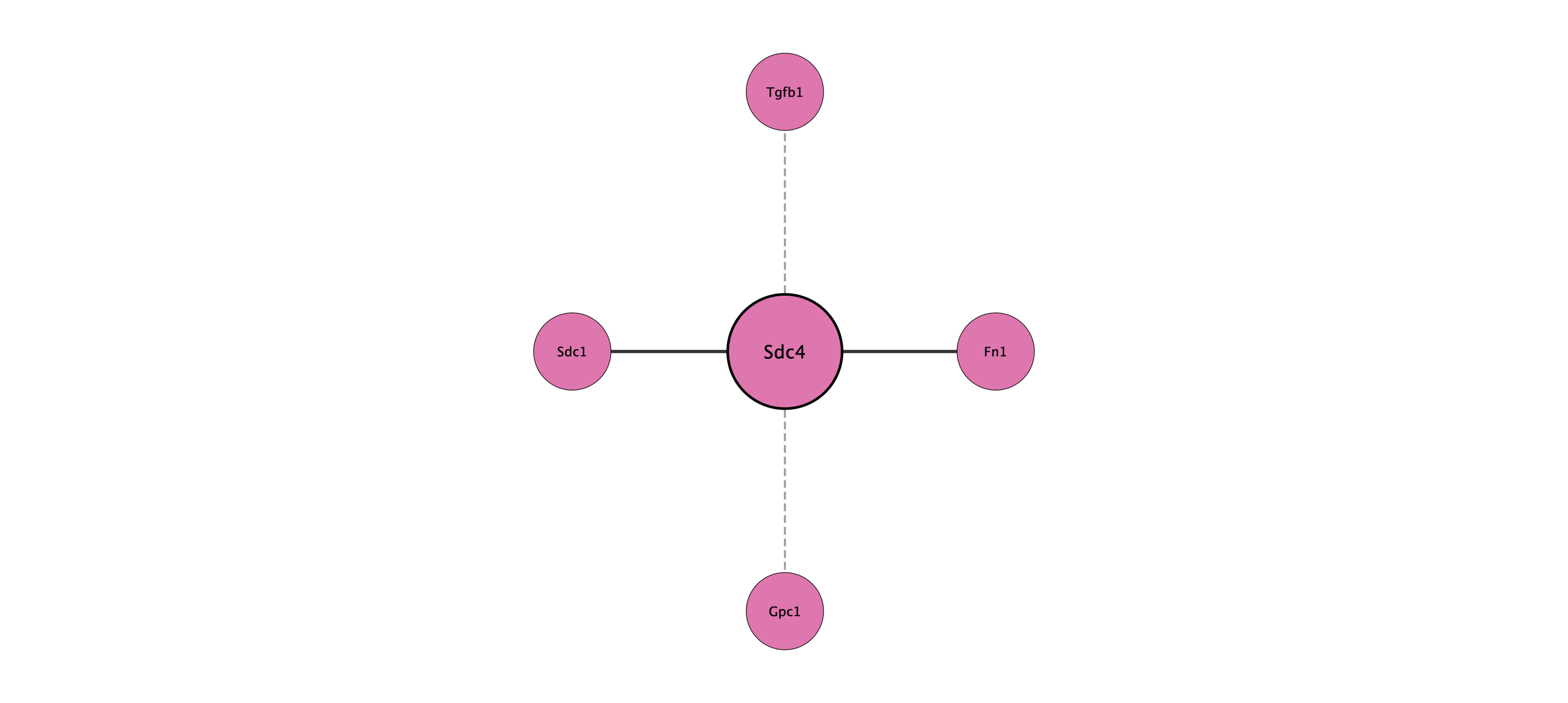 Sdc4 protein interaction network