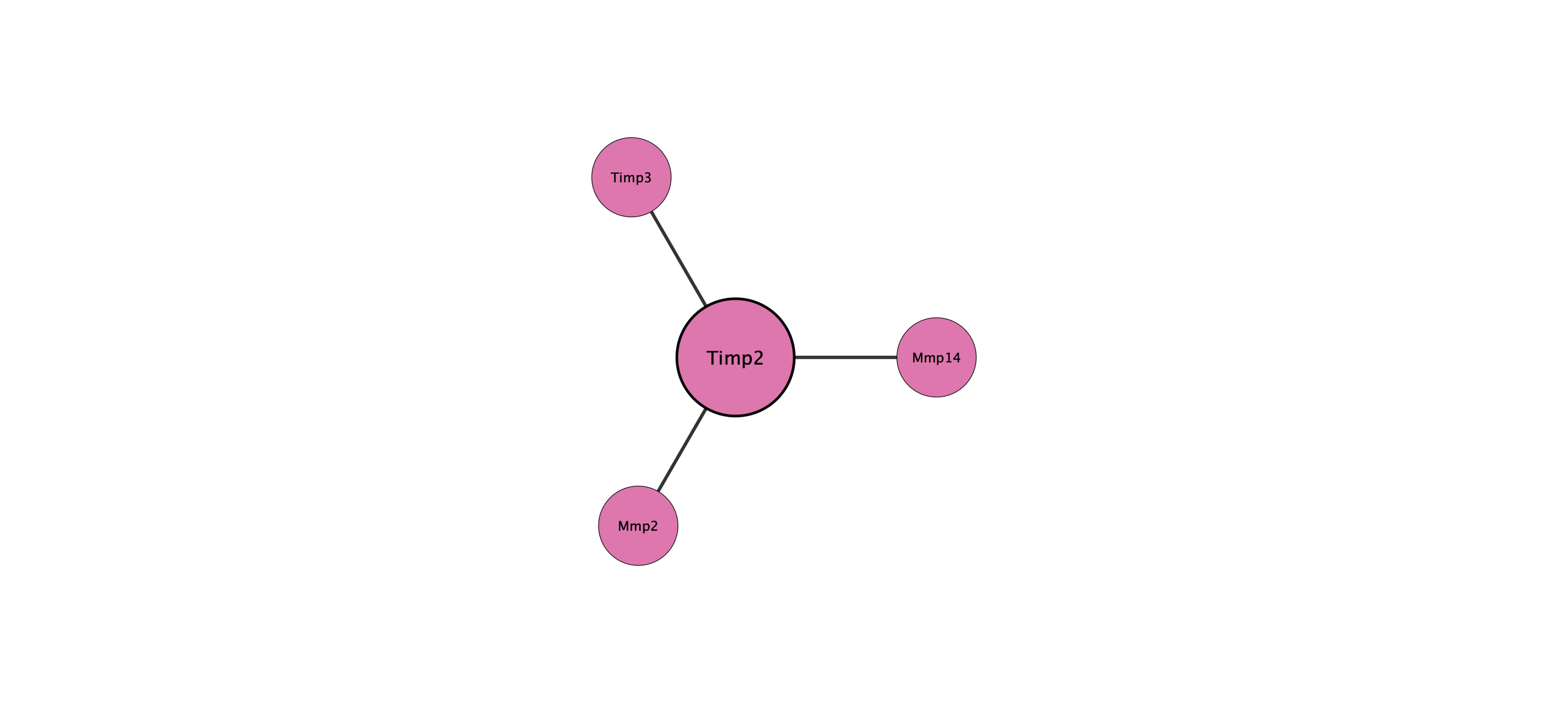 Timp2 protein interaction network