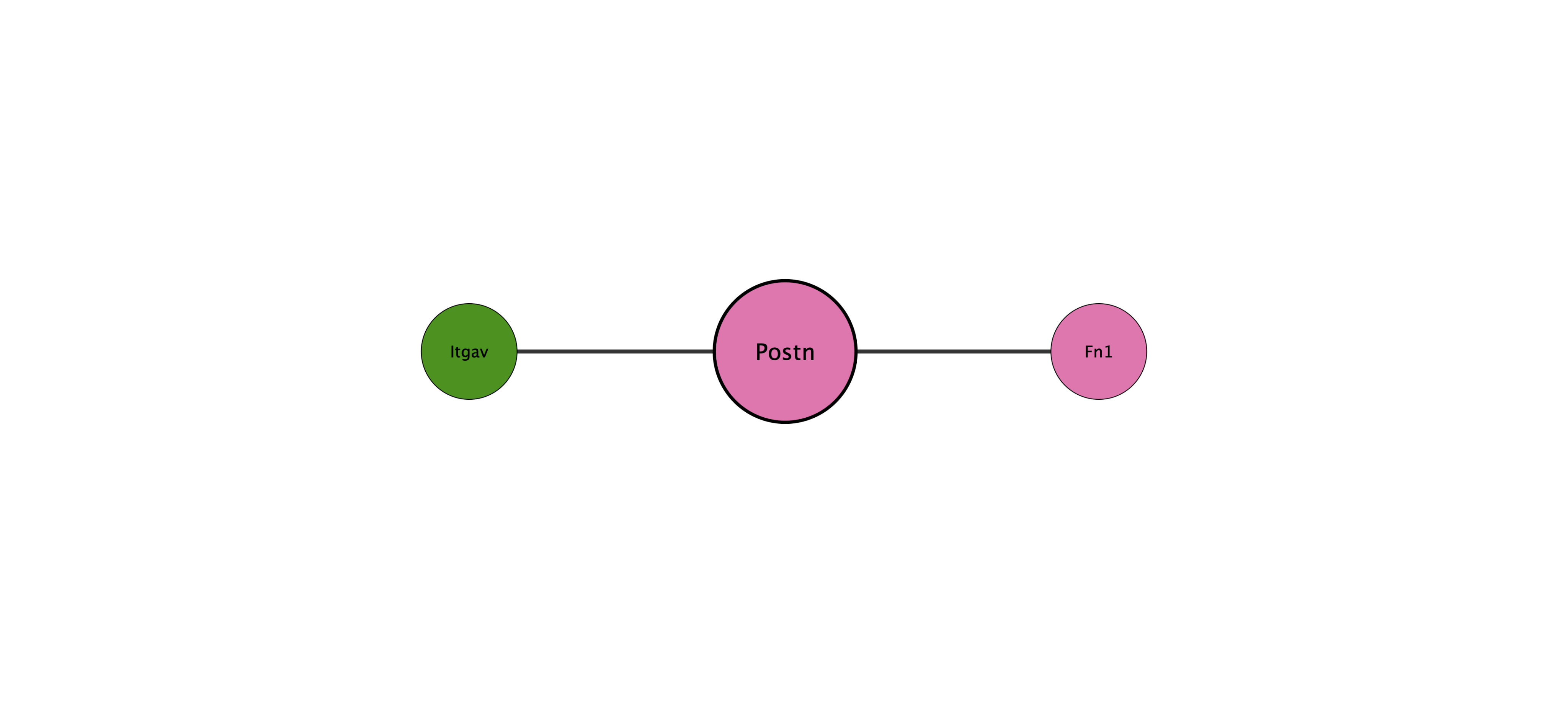 Postn protein interaction network