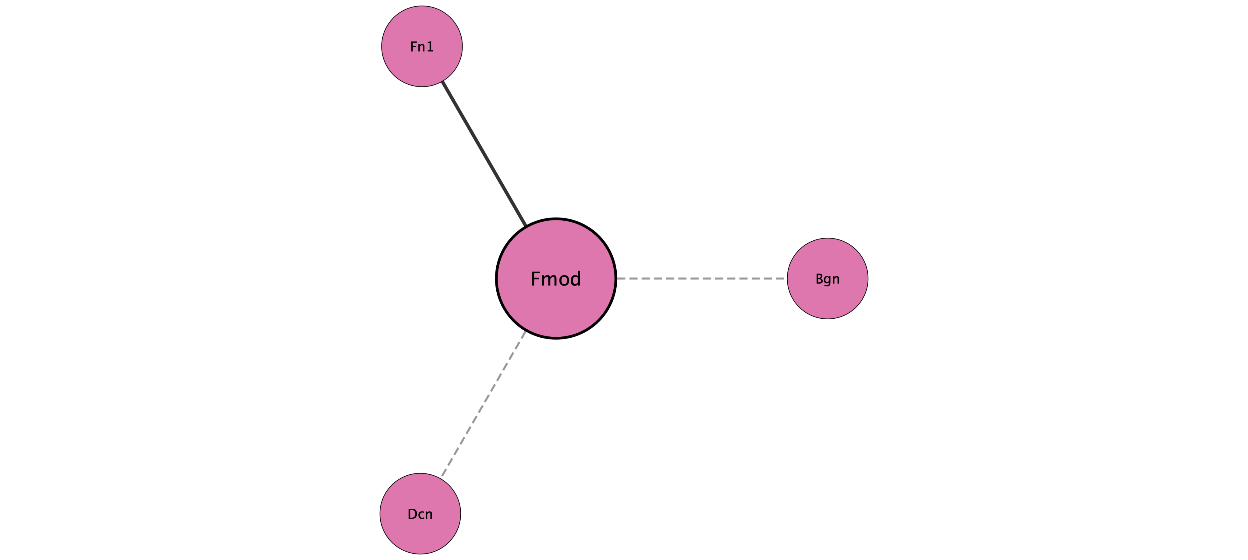 Fmod protein interaction network