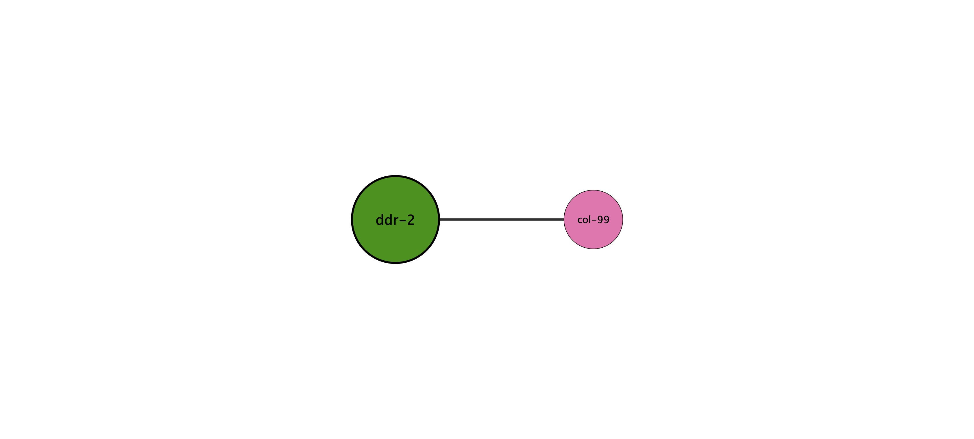 ddr-2 protein interaction network