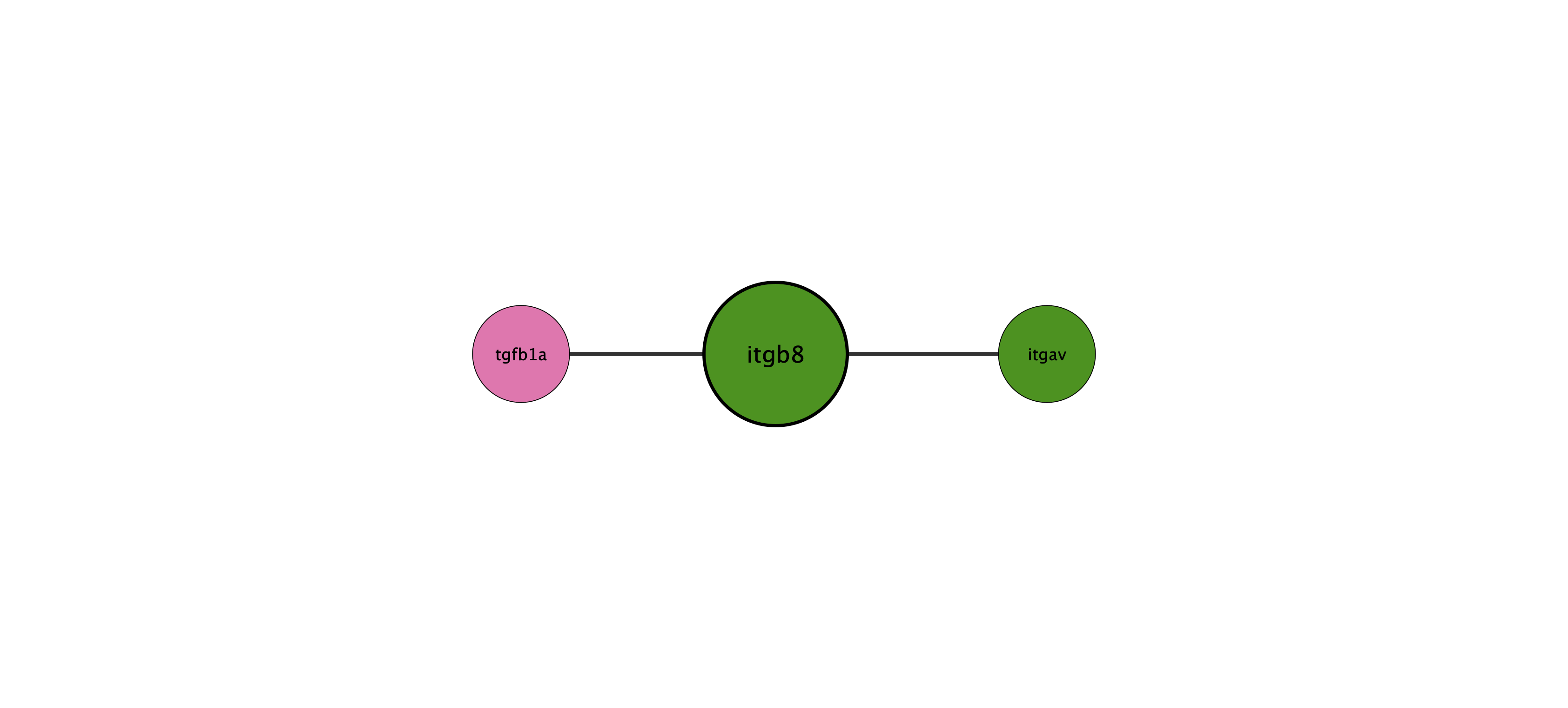 itgb8 protein interaction network