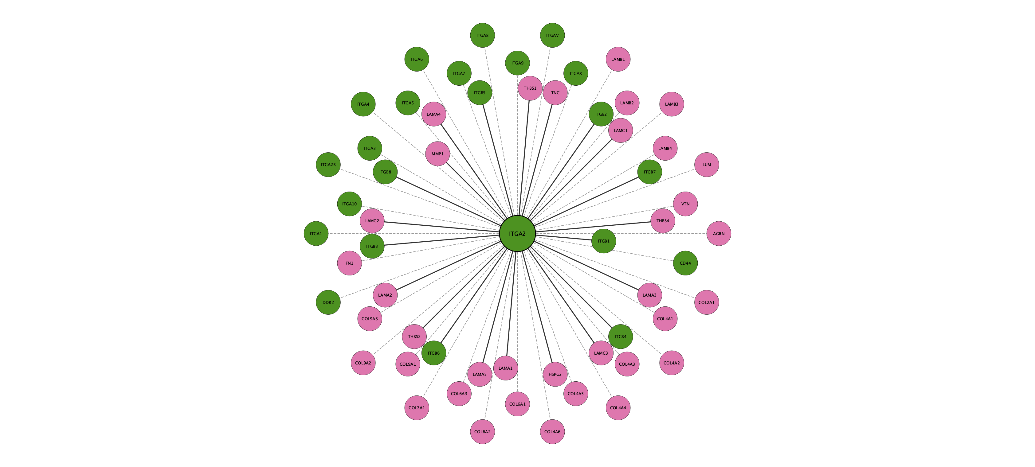 ITGA2 protein interaction network