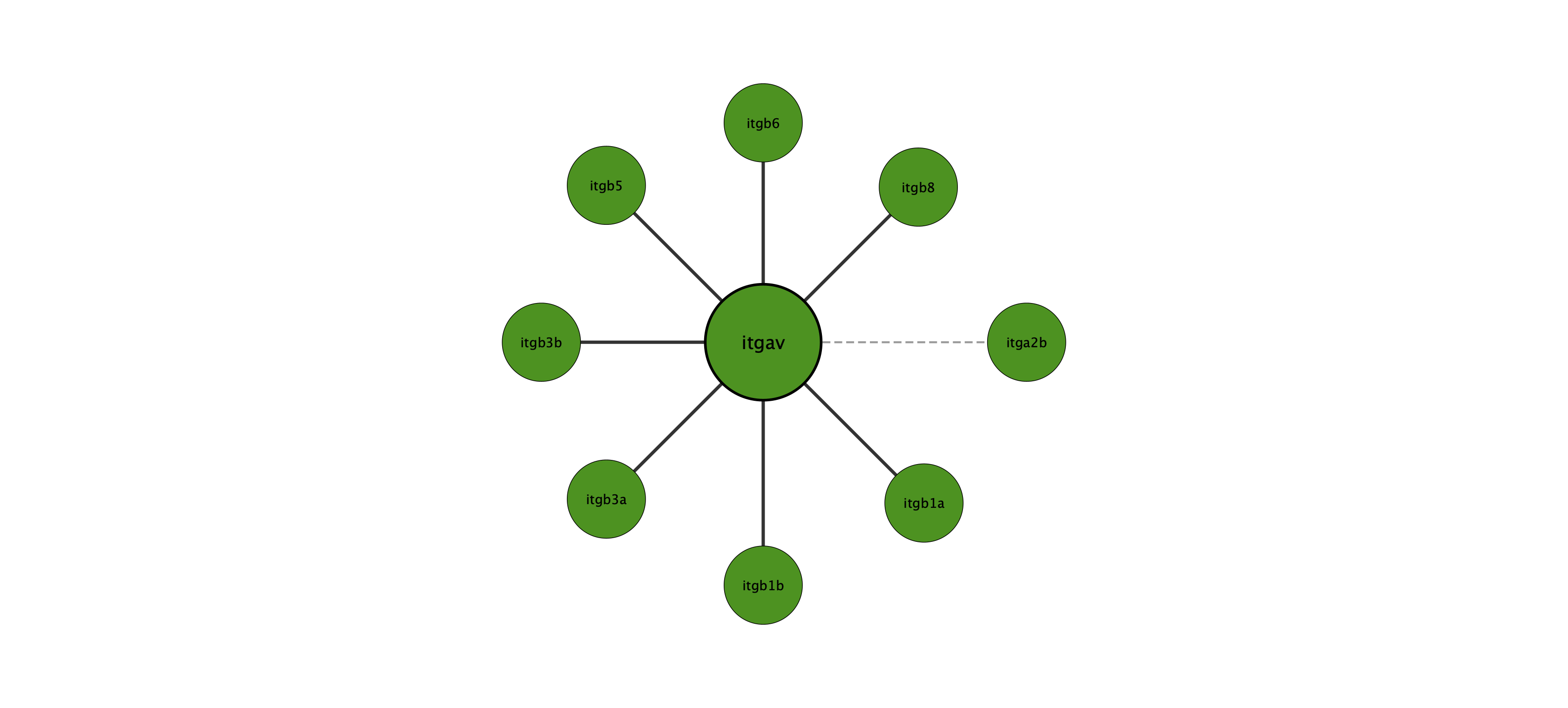 itgav protein interaction network
