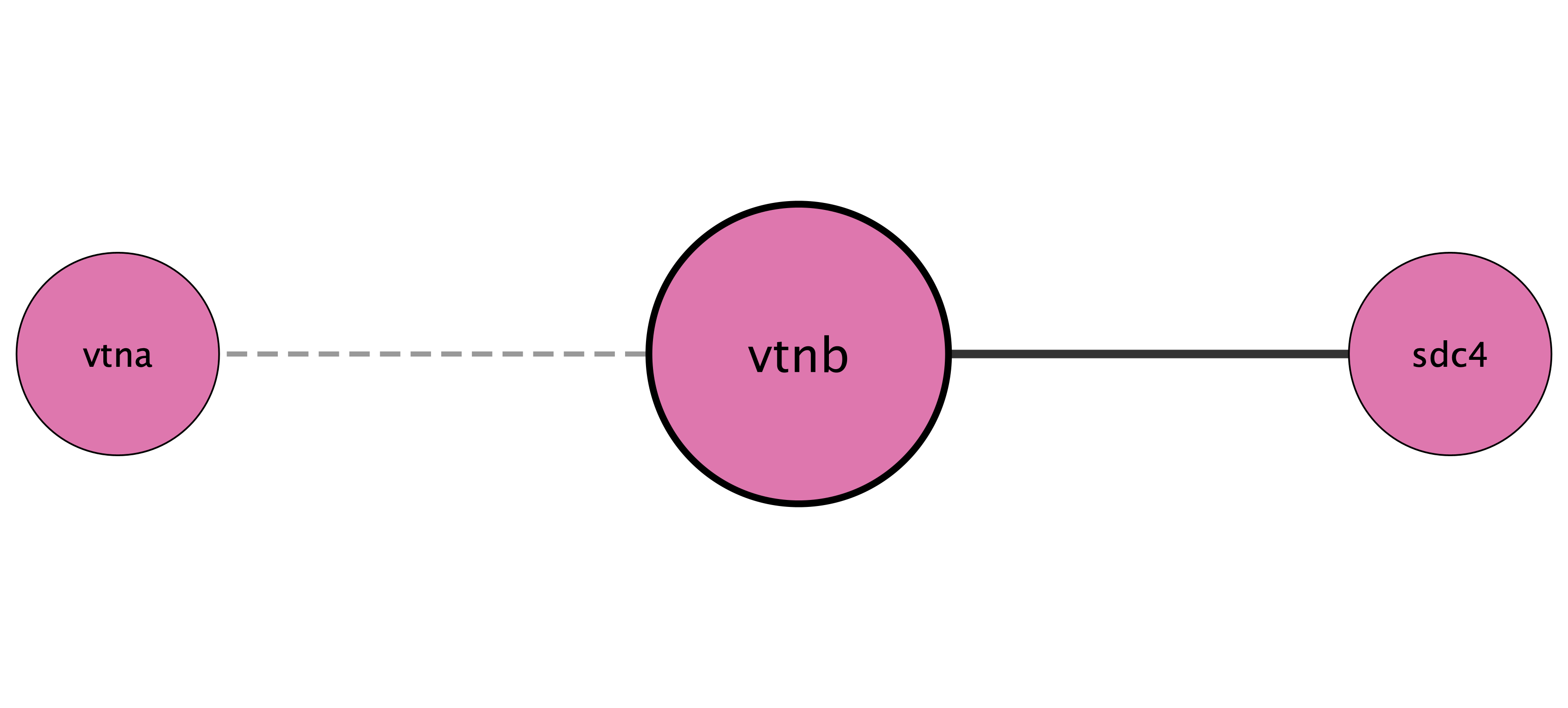 vtnb protein interaction network