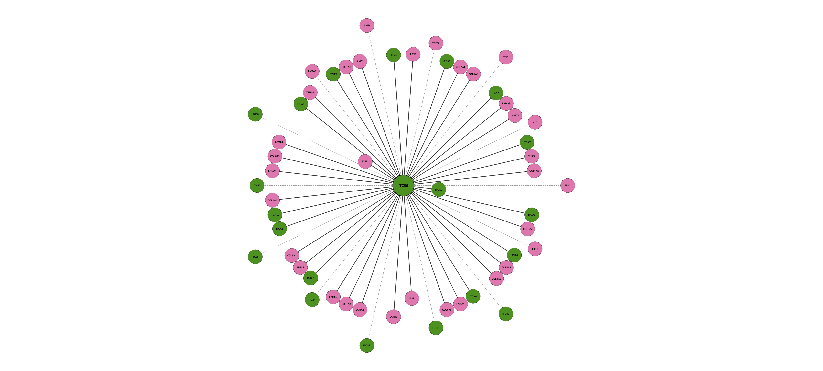 ITGB6 protein interaction network