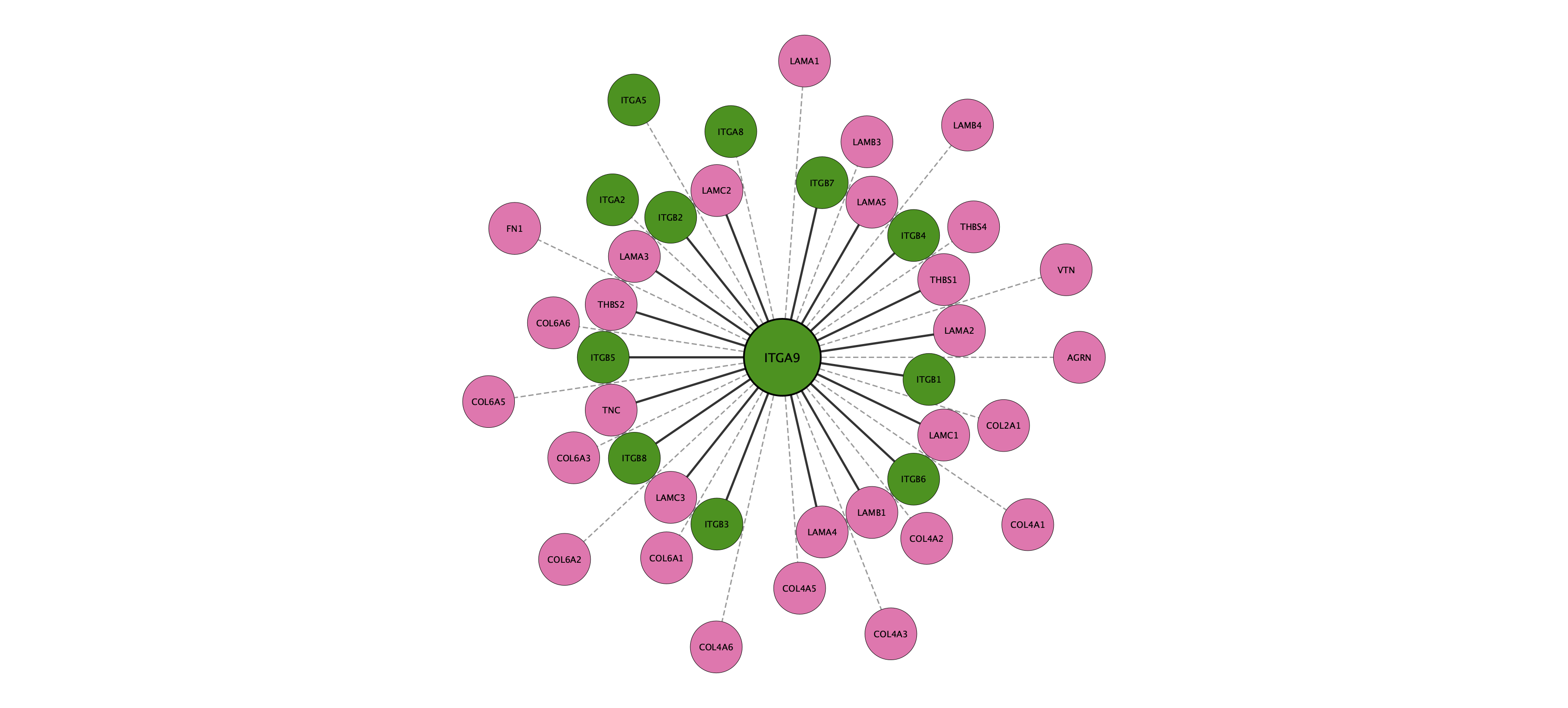 ITGA9 protein interaction network