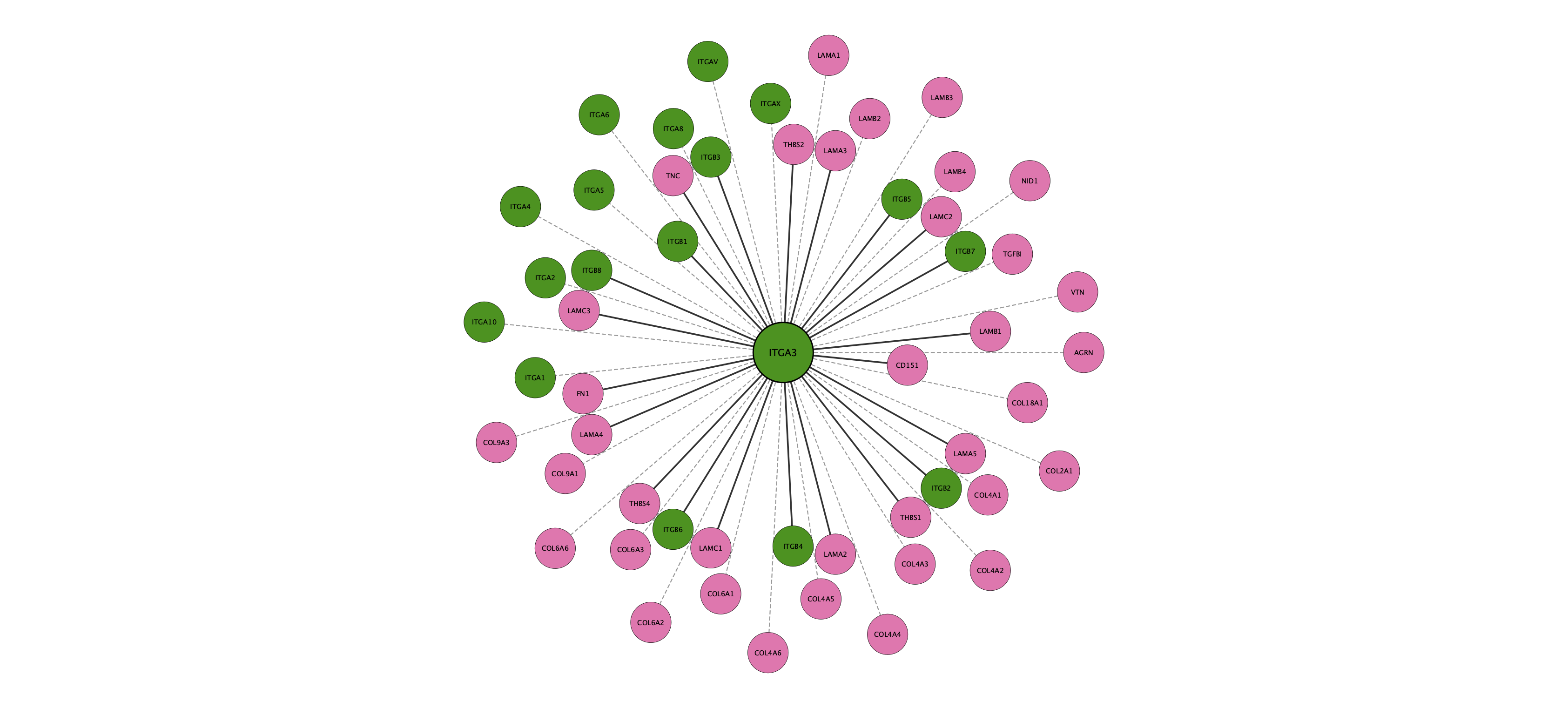 ITGA3 protein interaction network