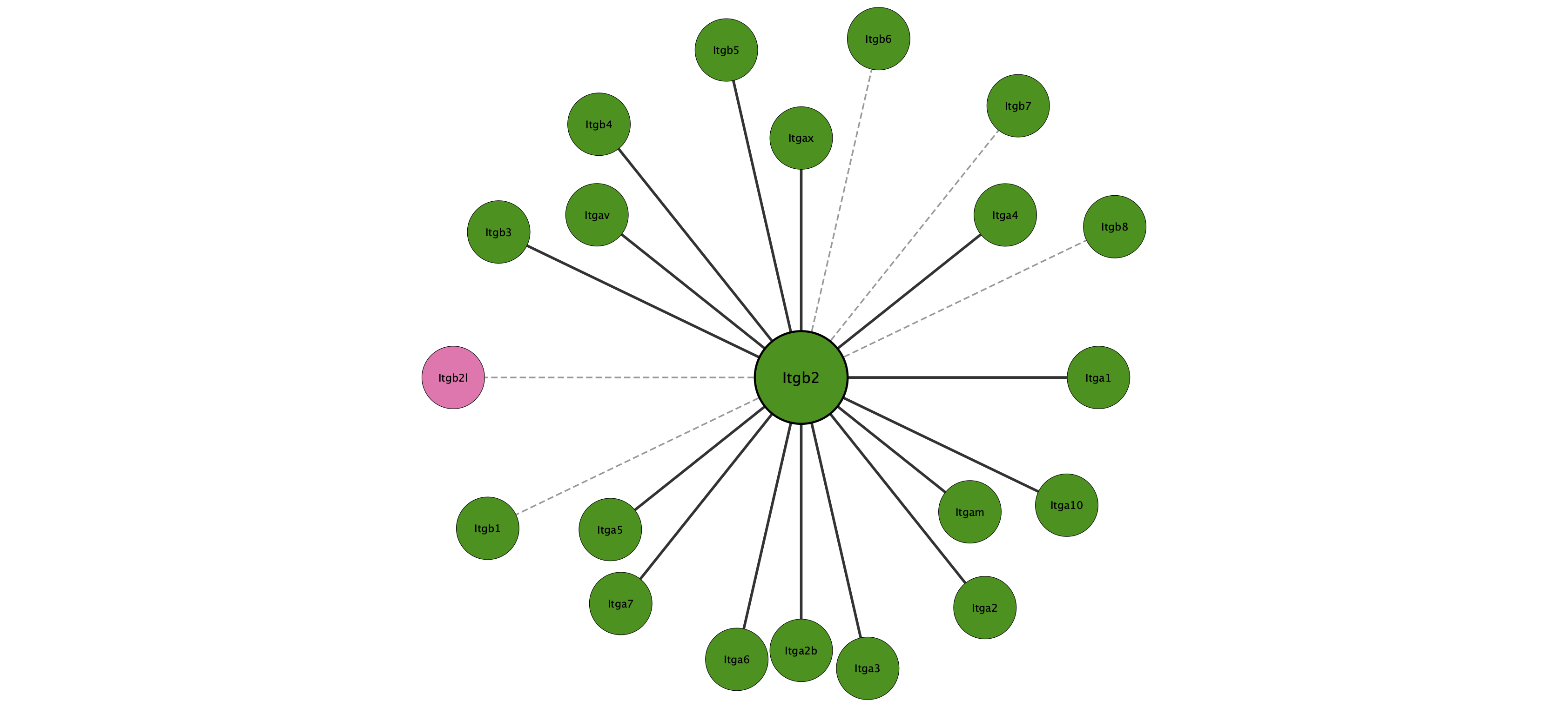 Itgb2 protein interaction network