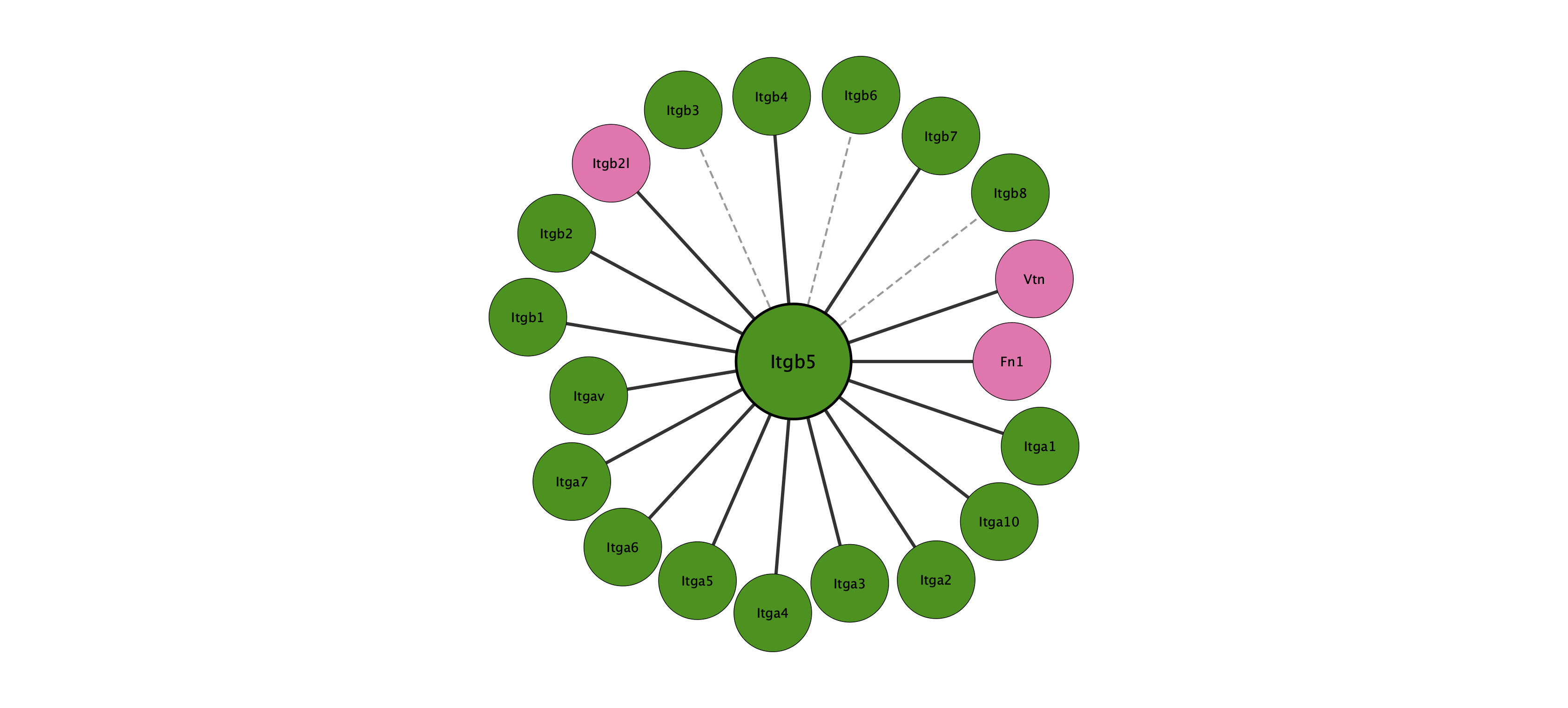 Itgb5 protein interaction network