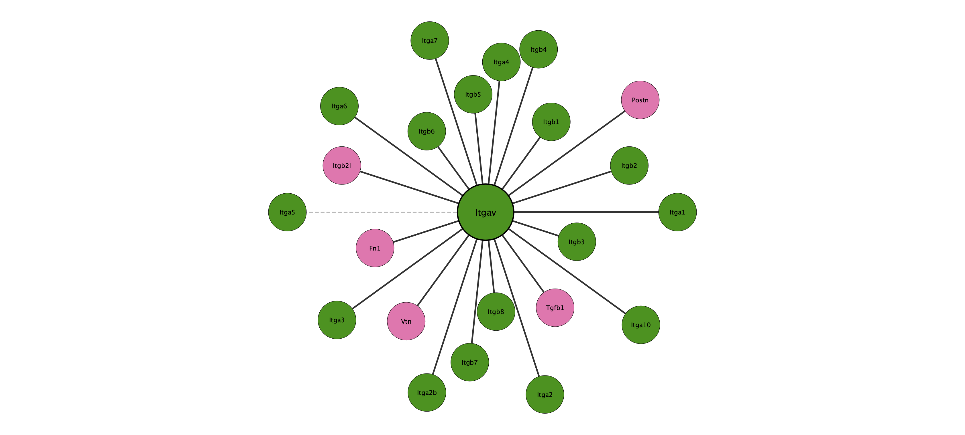 Itgav protein interaction network