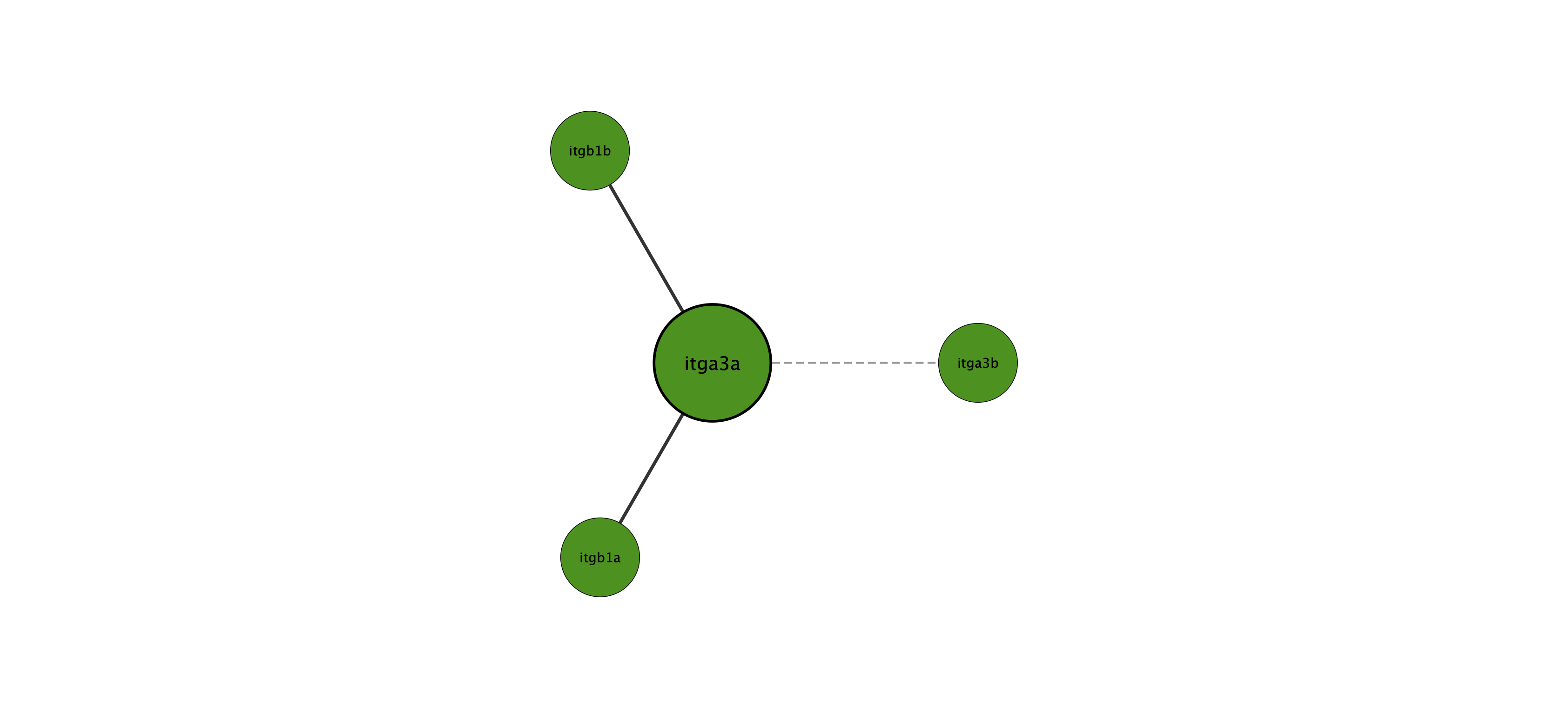 itga3a protein interaction network