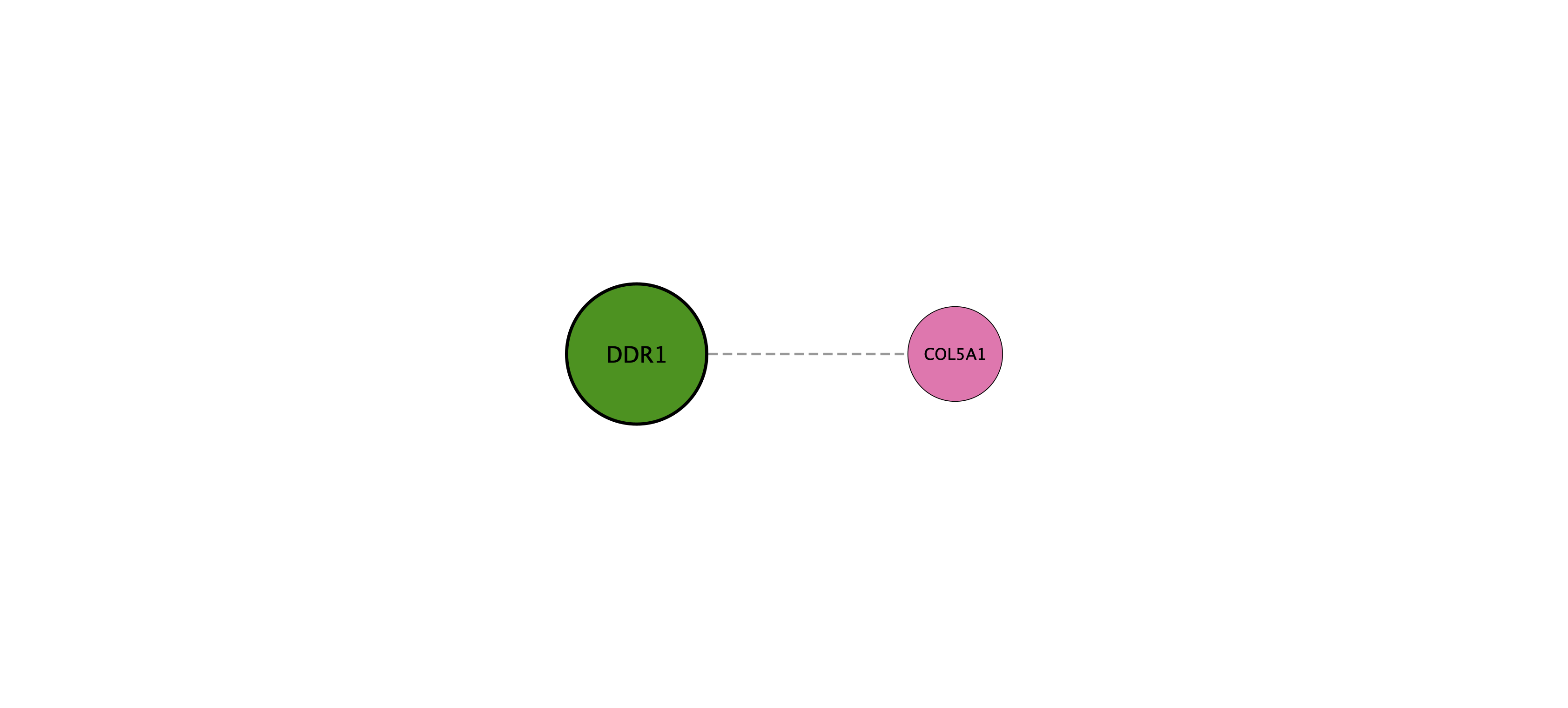 DDR1 protein interaction network